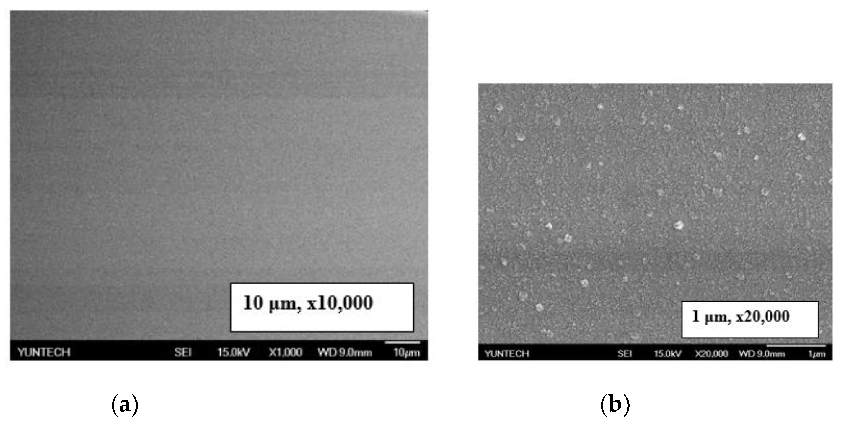 Preprints 120434 g009