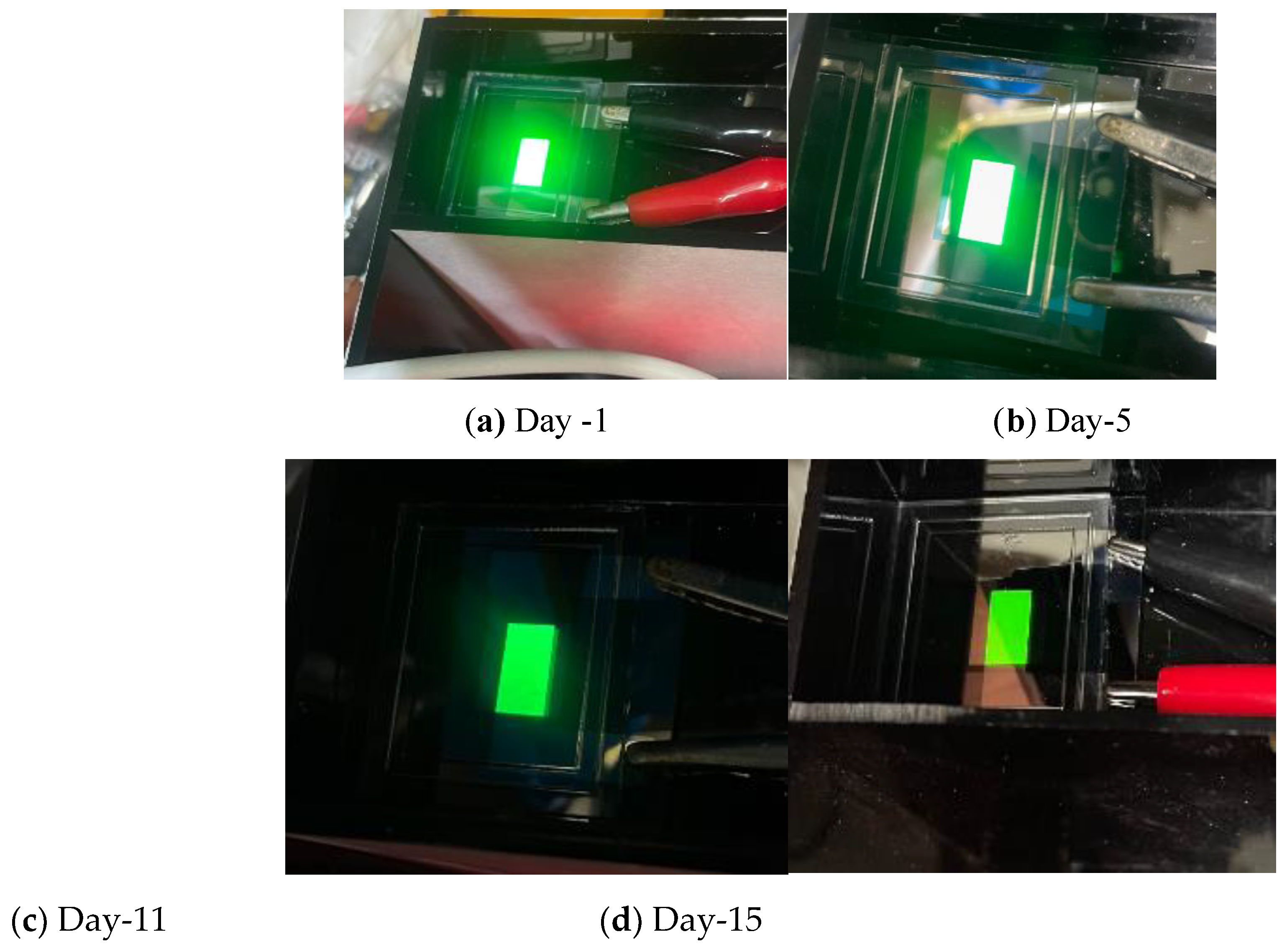 Preprints 120434 g013