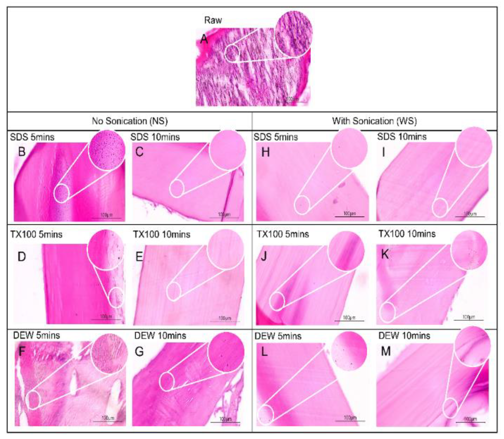 Preprints 114055 g001