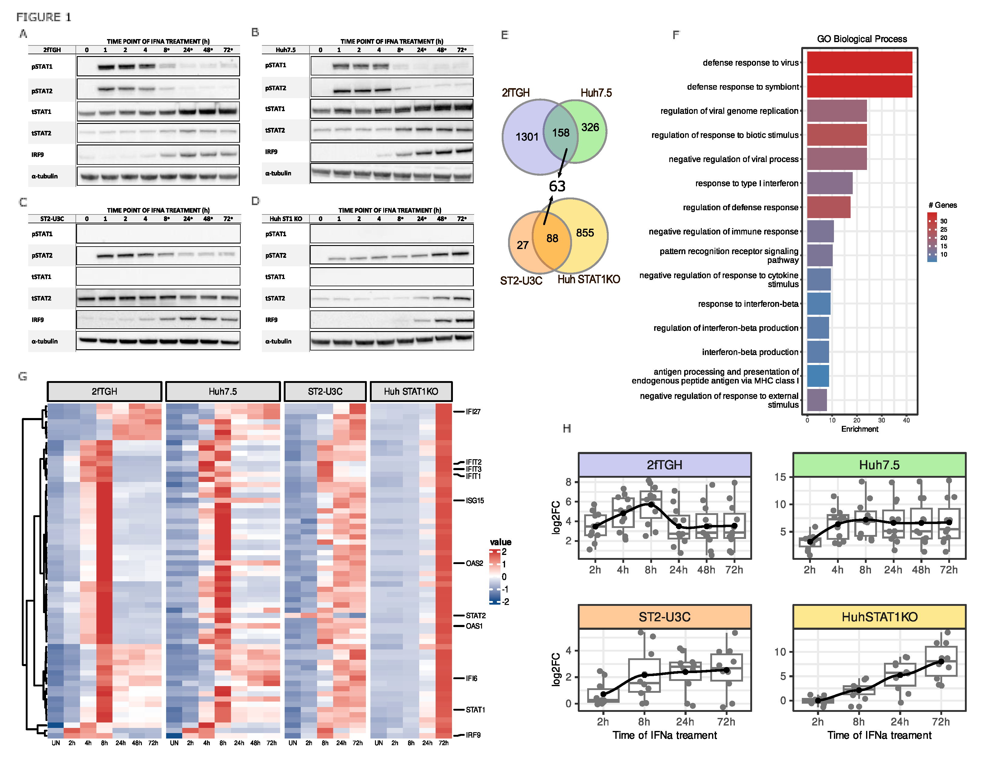 Preprints 88496 g001