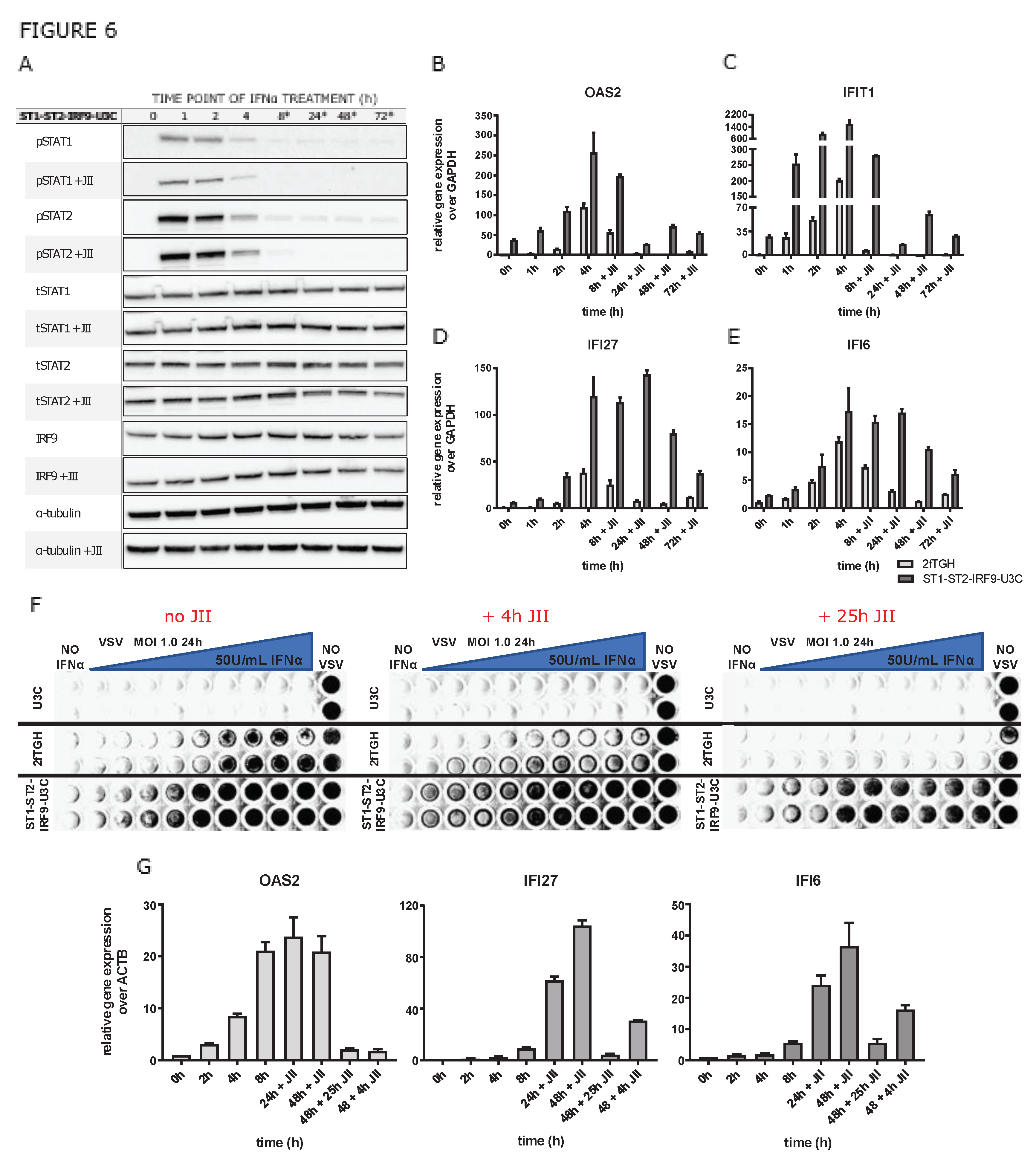 Preprints 88496 g006