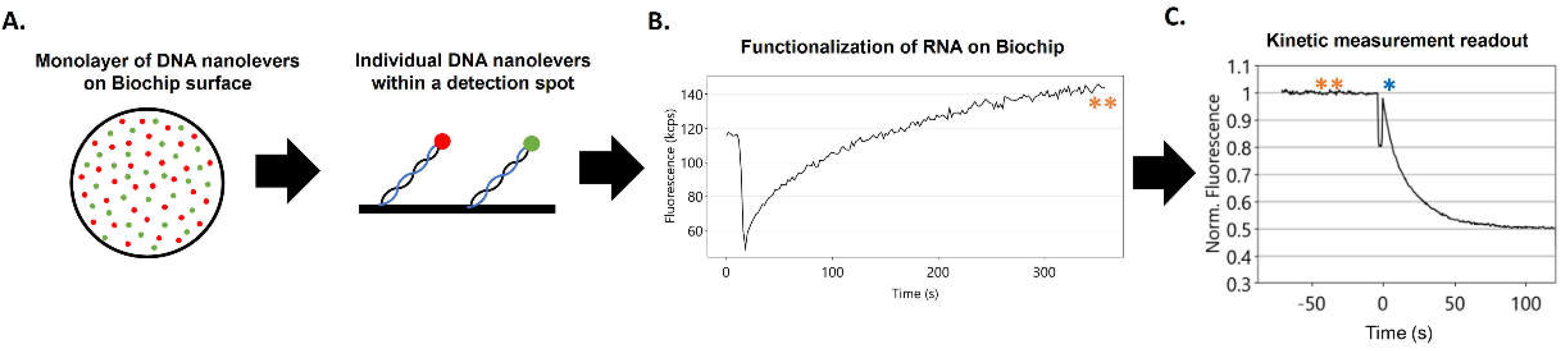 Preprints 114742 g001