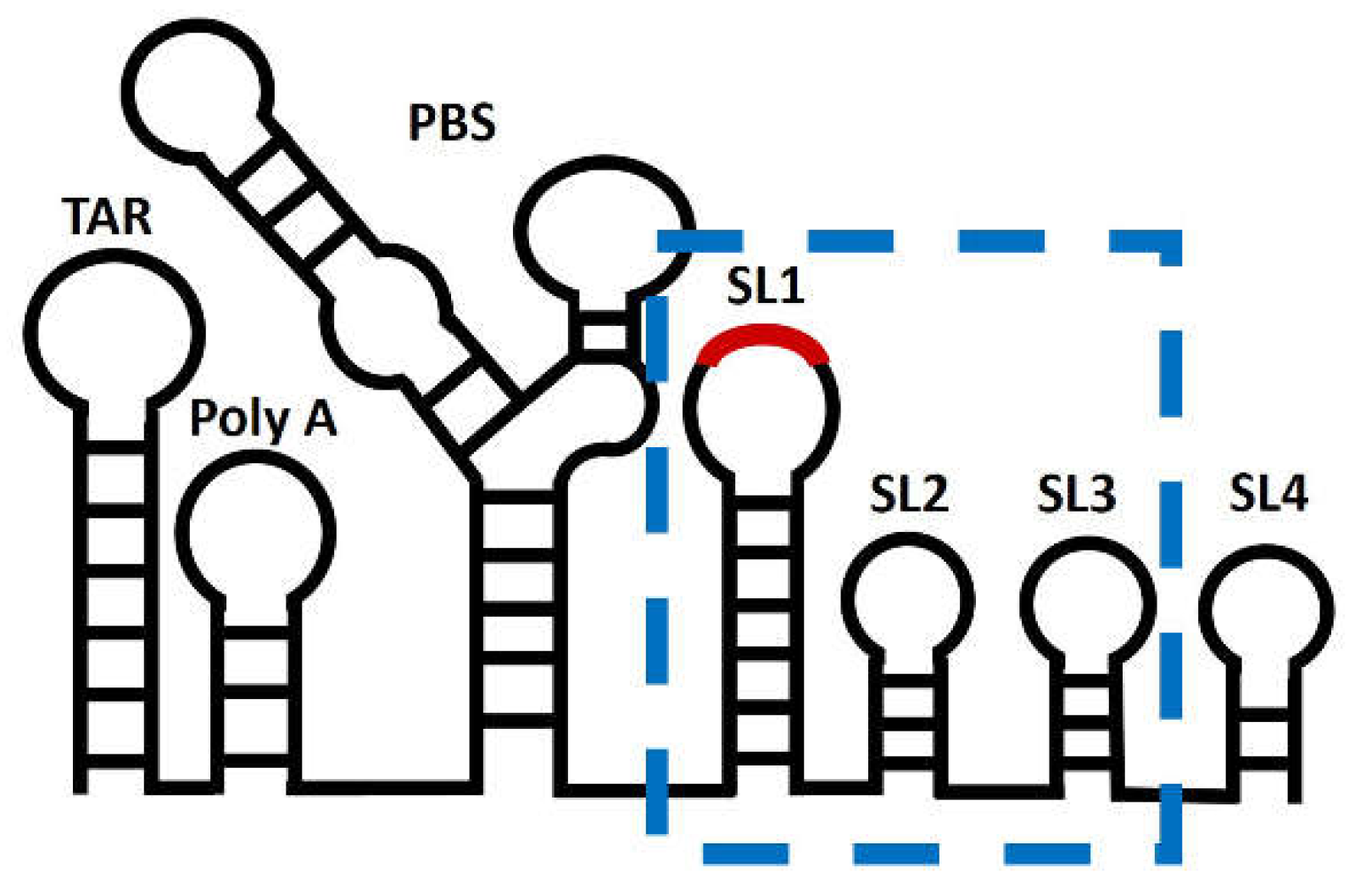 Preprints 114742 g002