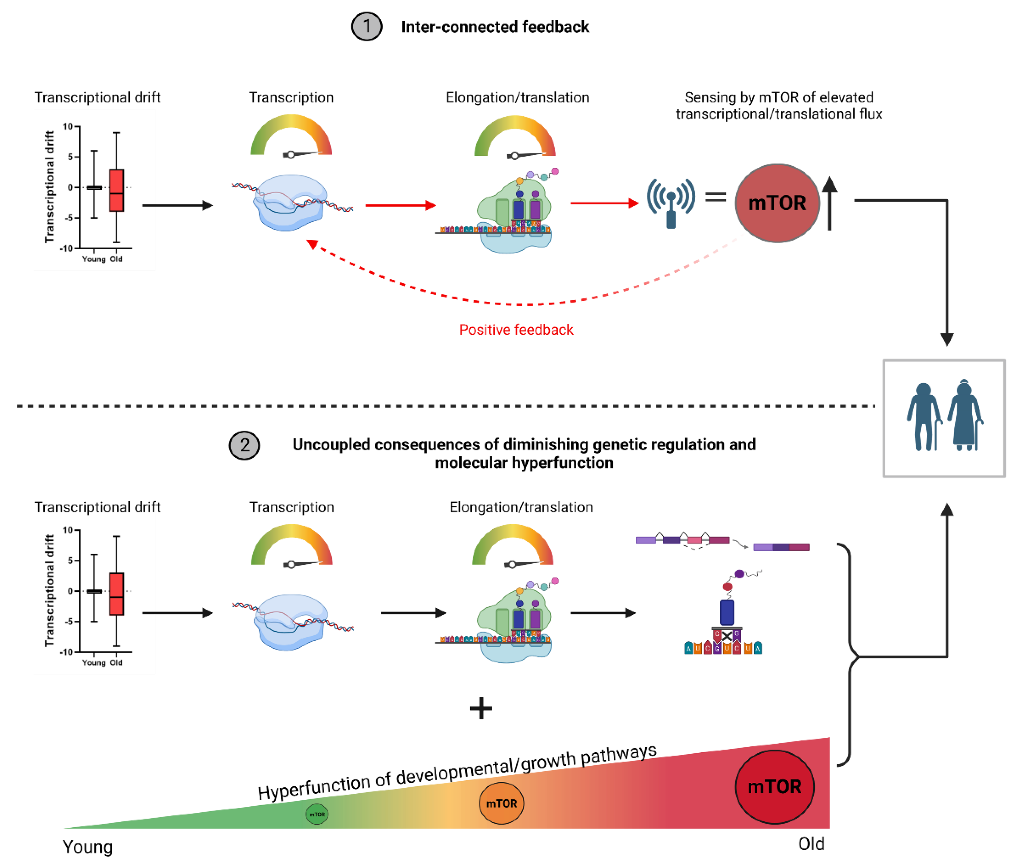 Preprints 102549 g001