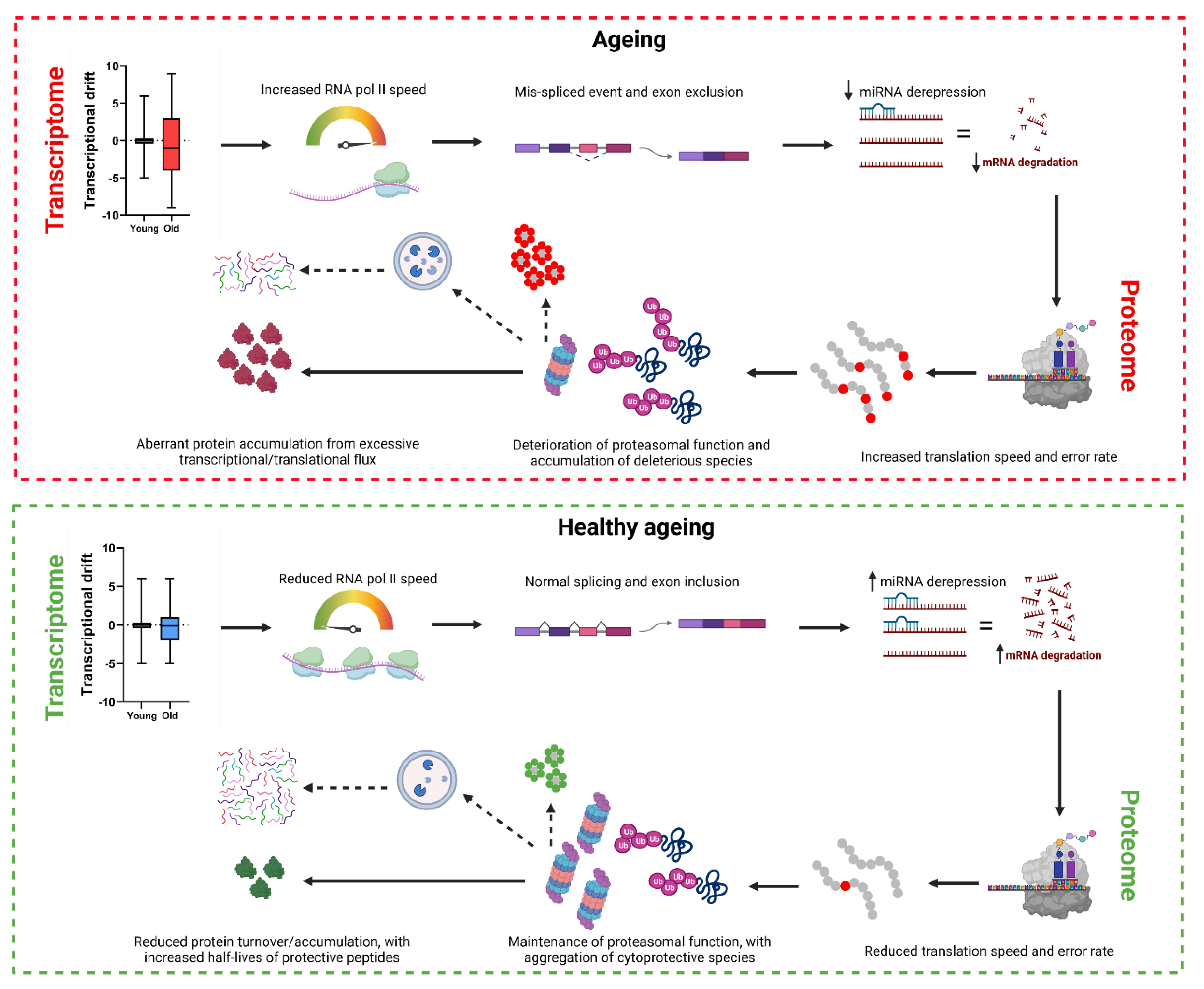 Preprints 102549 g002