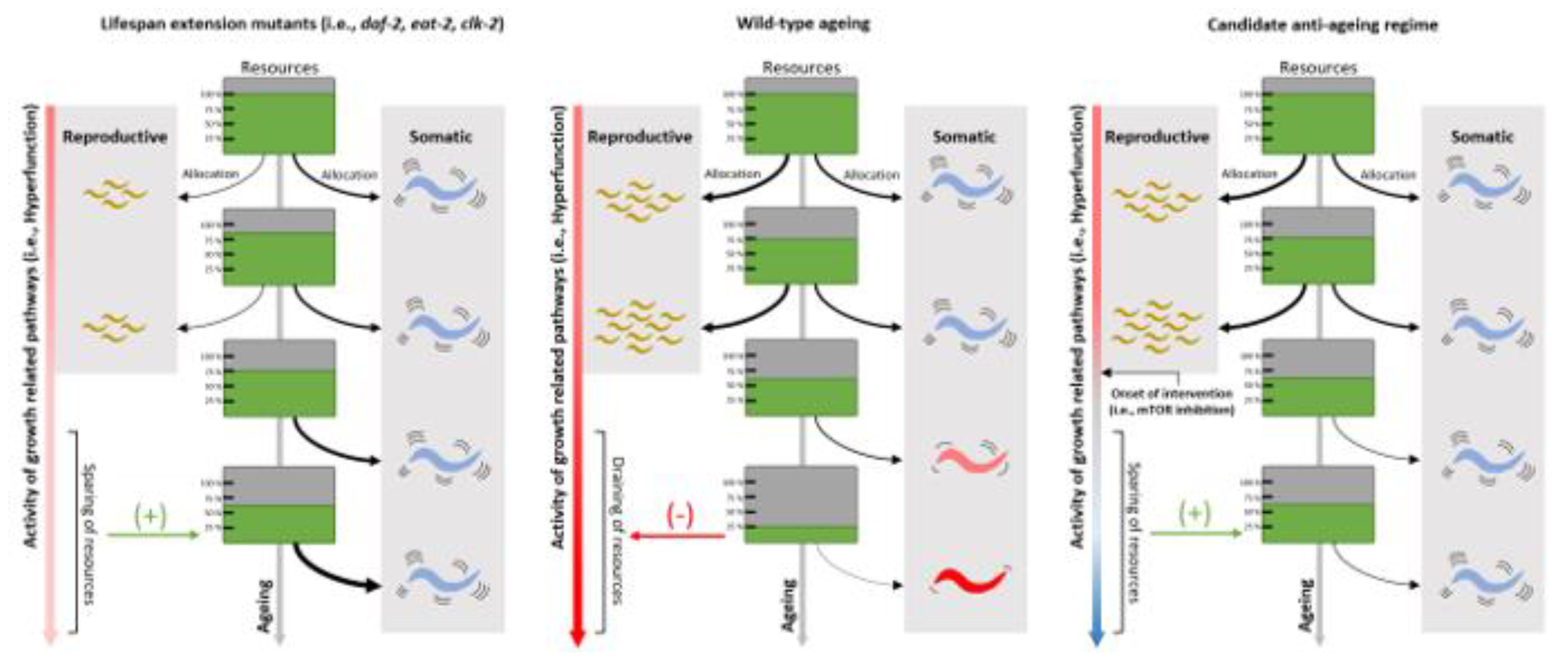 Preprints 102549 g003