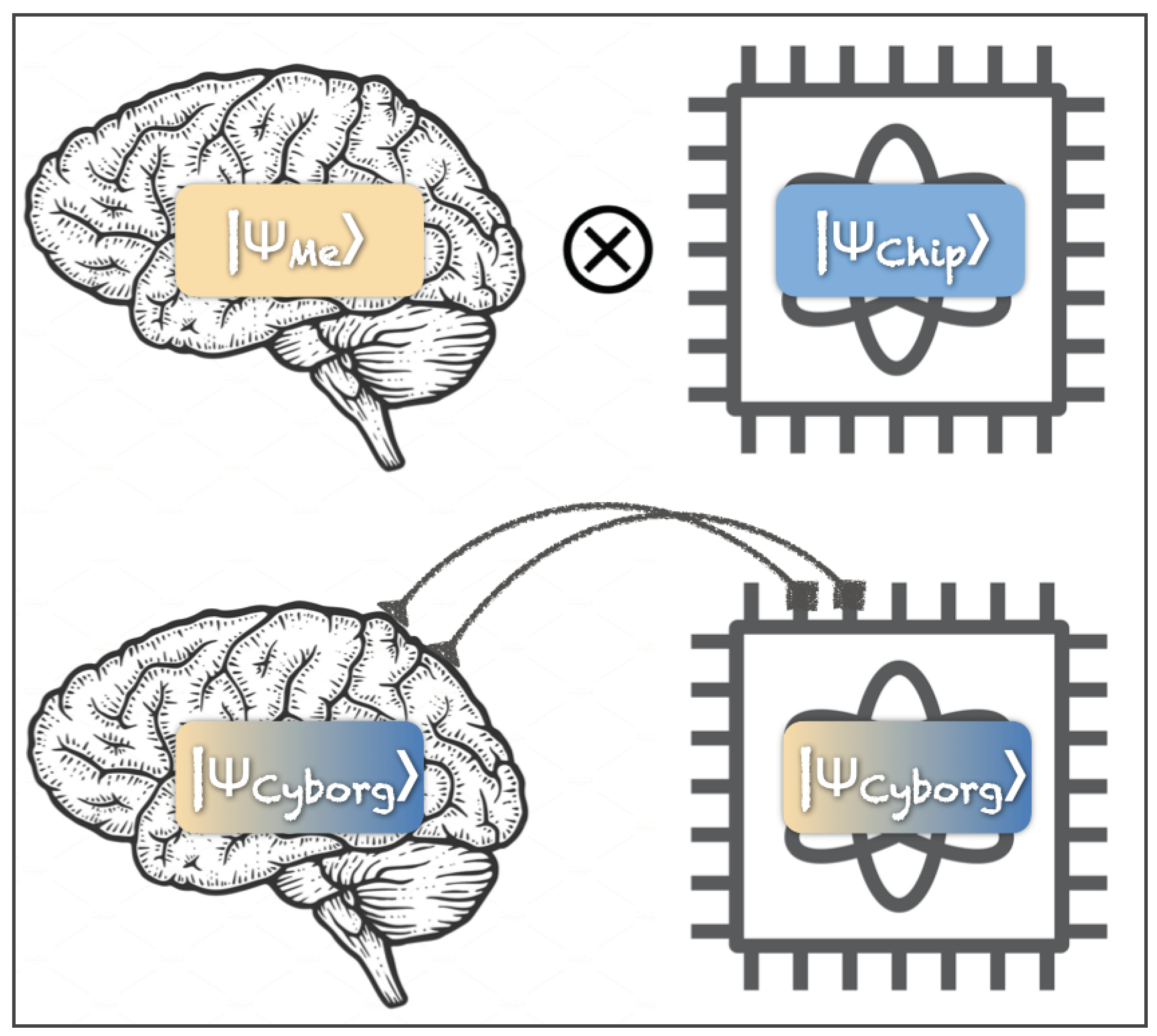 Preprints 100198 g002