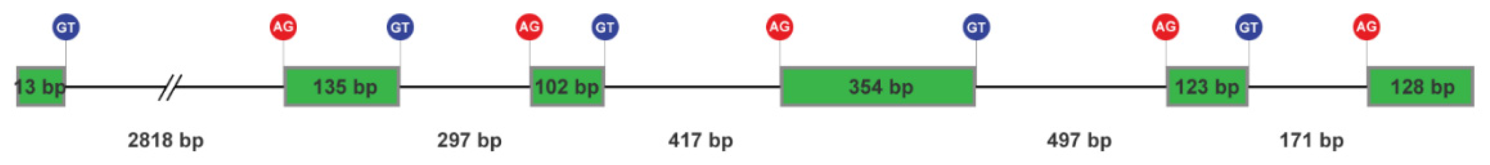 Preprints 85493 g001