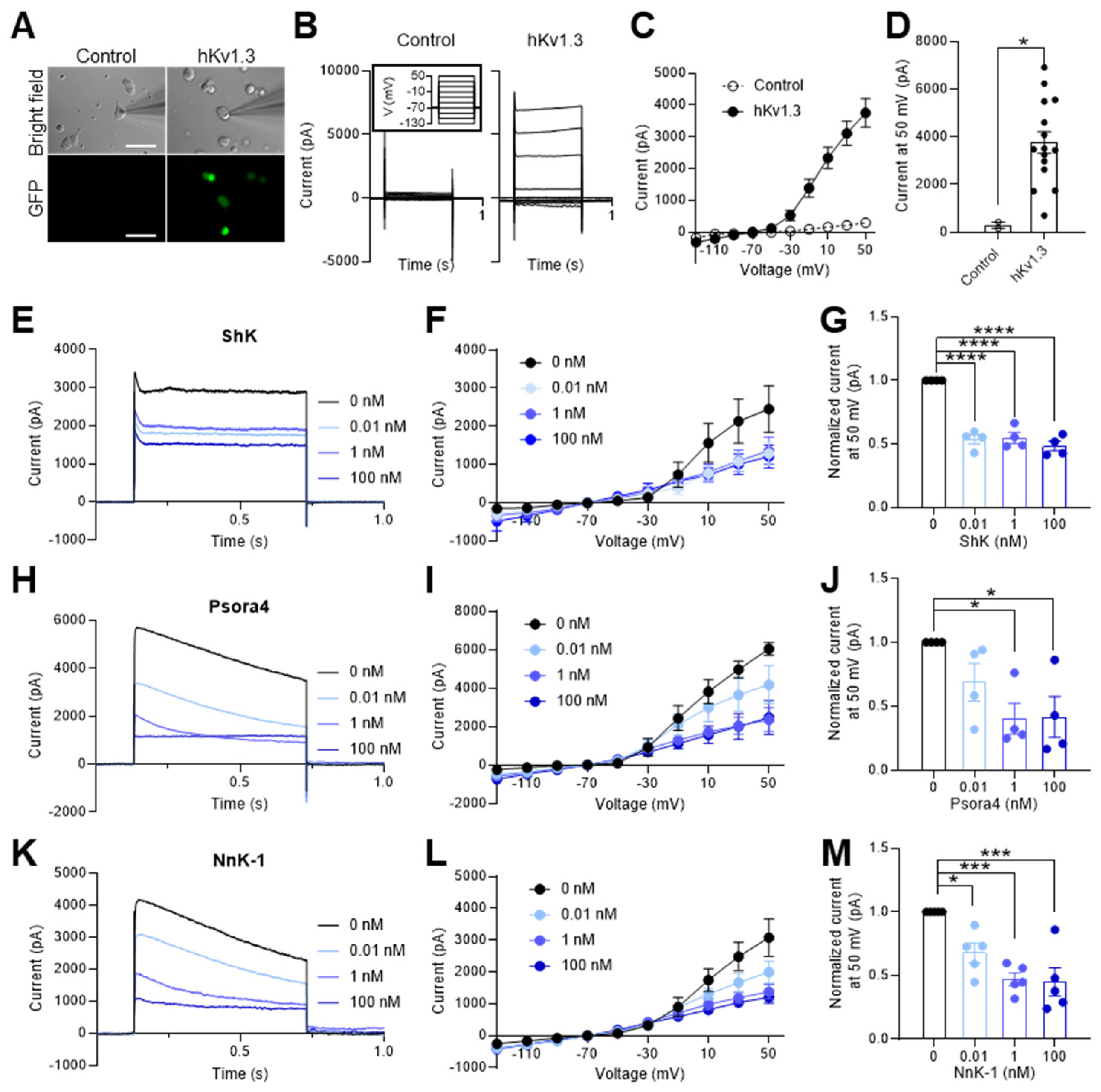 Preprints 85493 g003