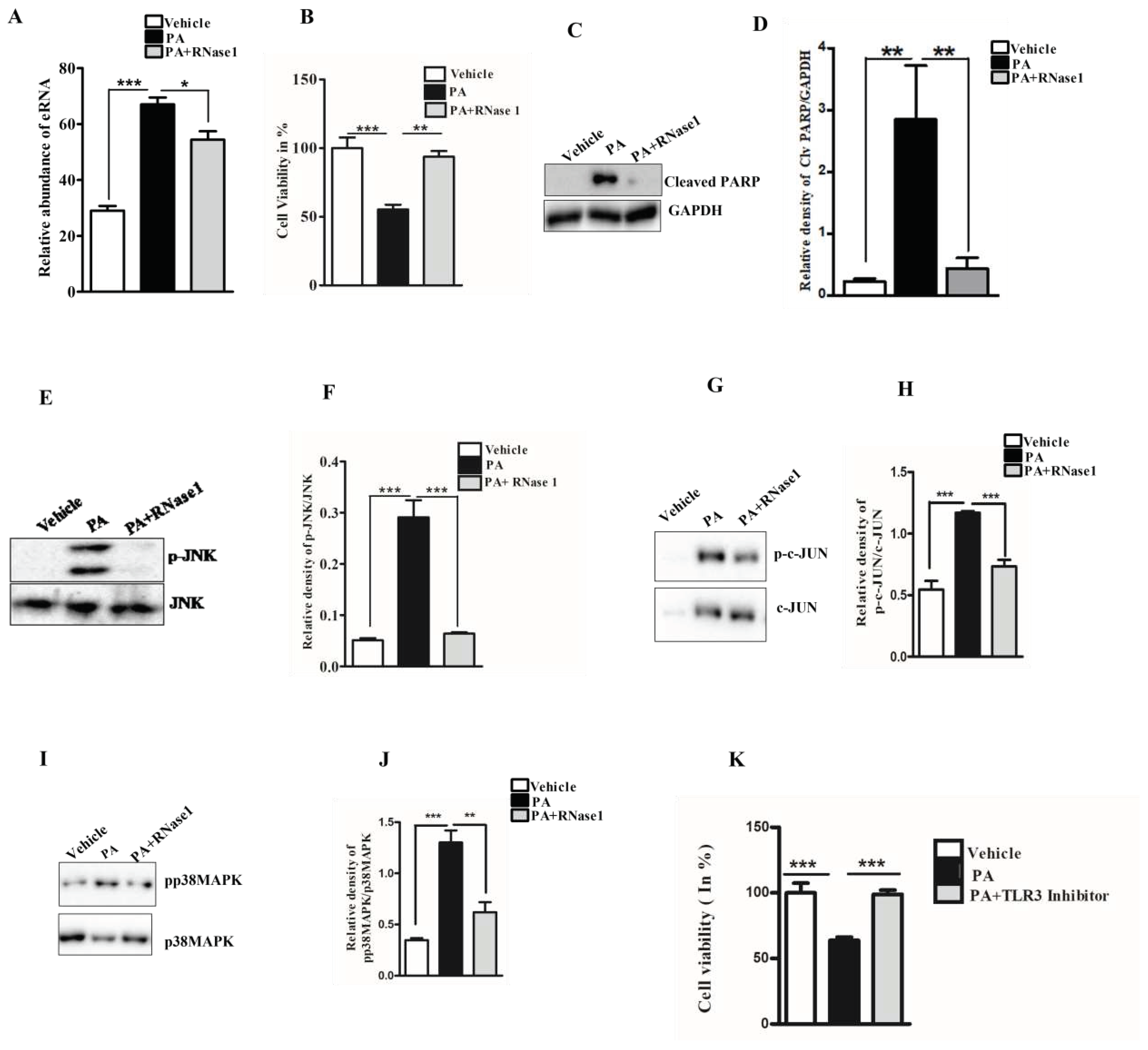 Preprints 77036 g001