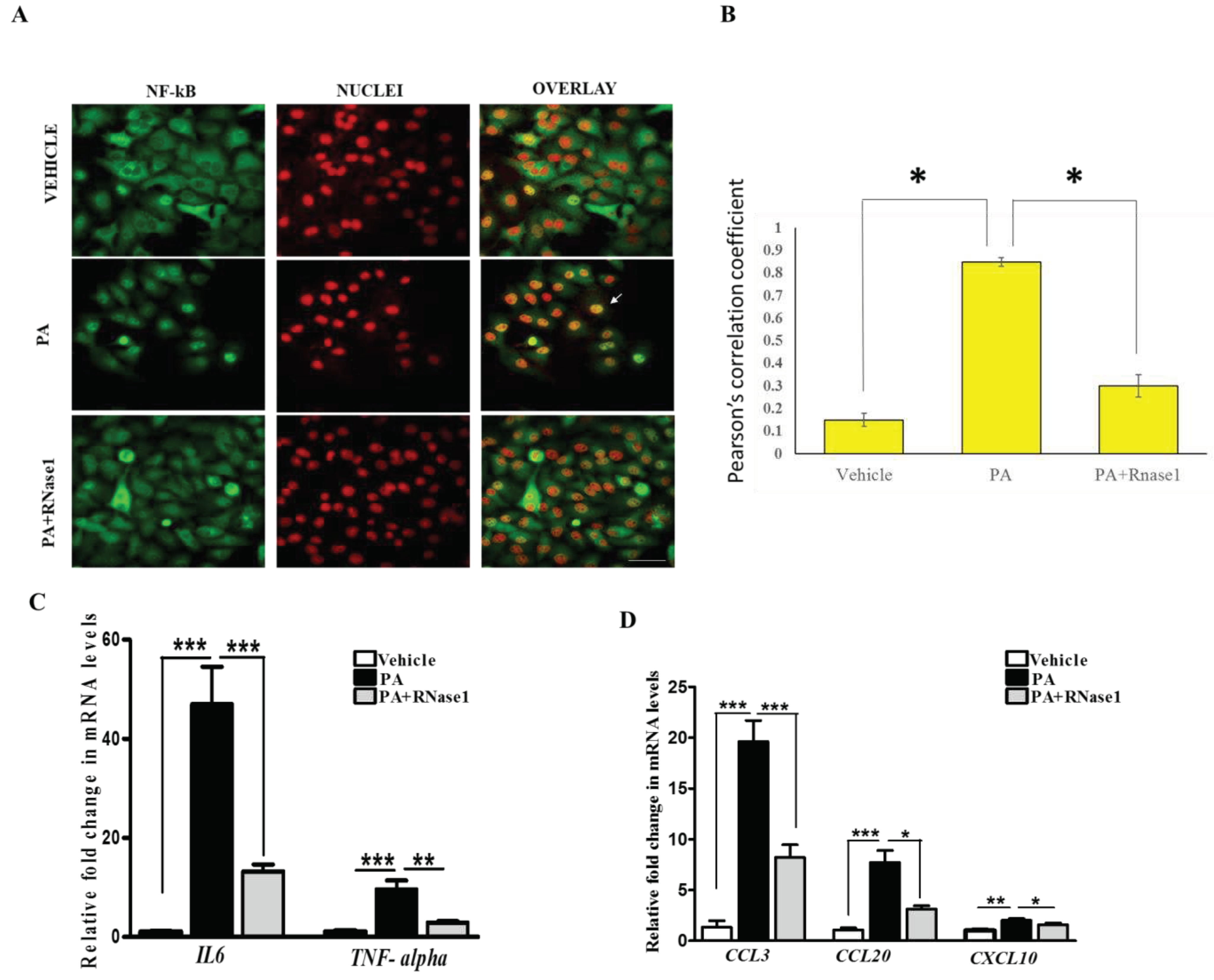 Preprints 77036 g003