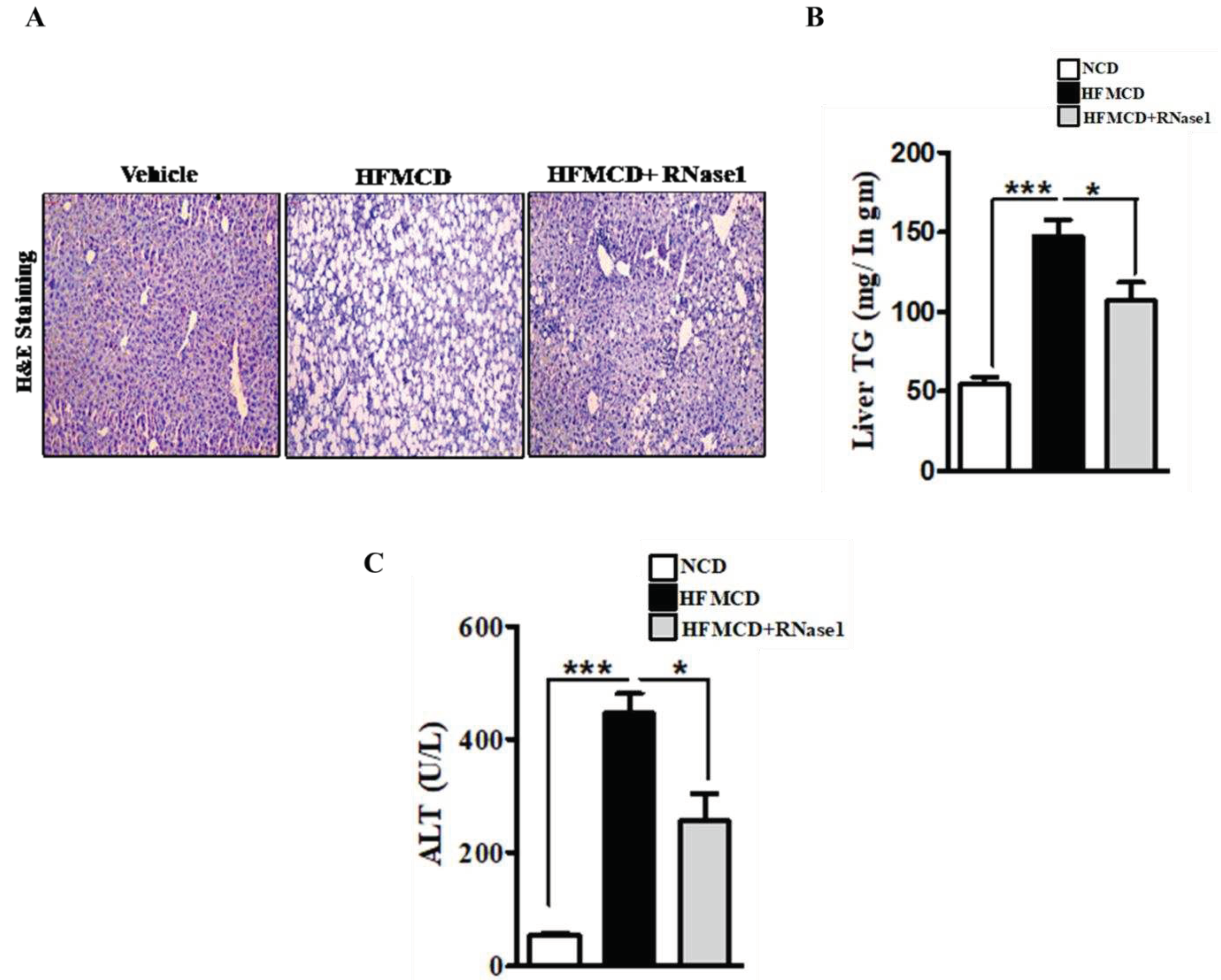 Preprints 77036 g004