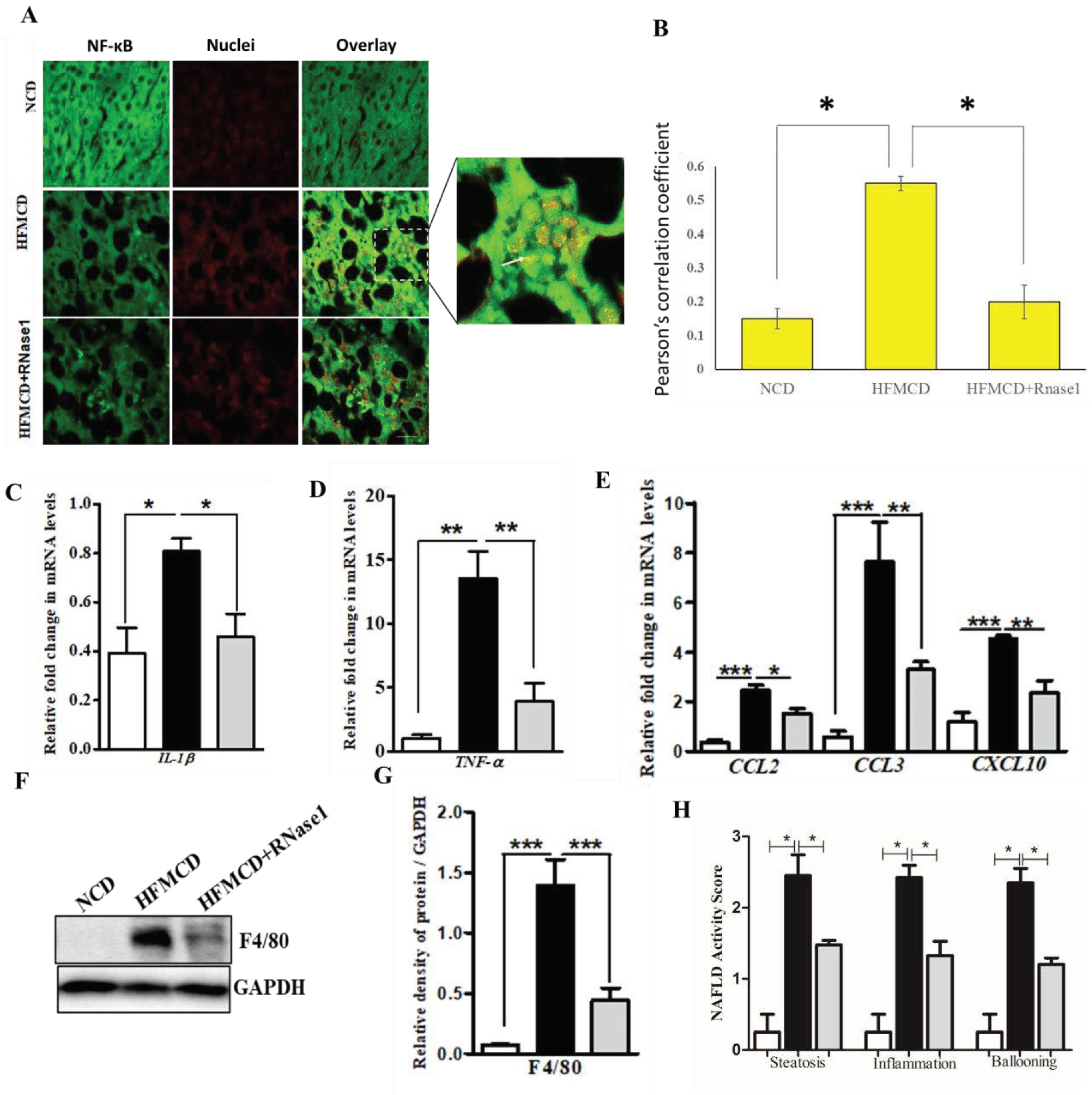 Preprints 77036 g005