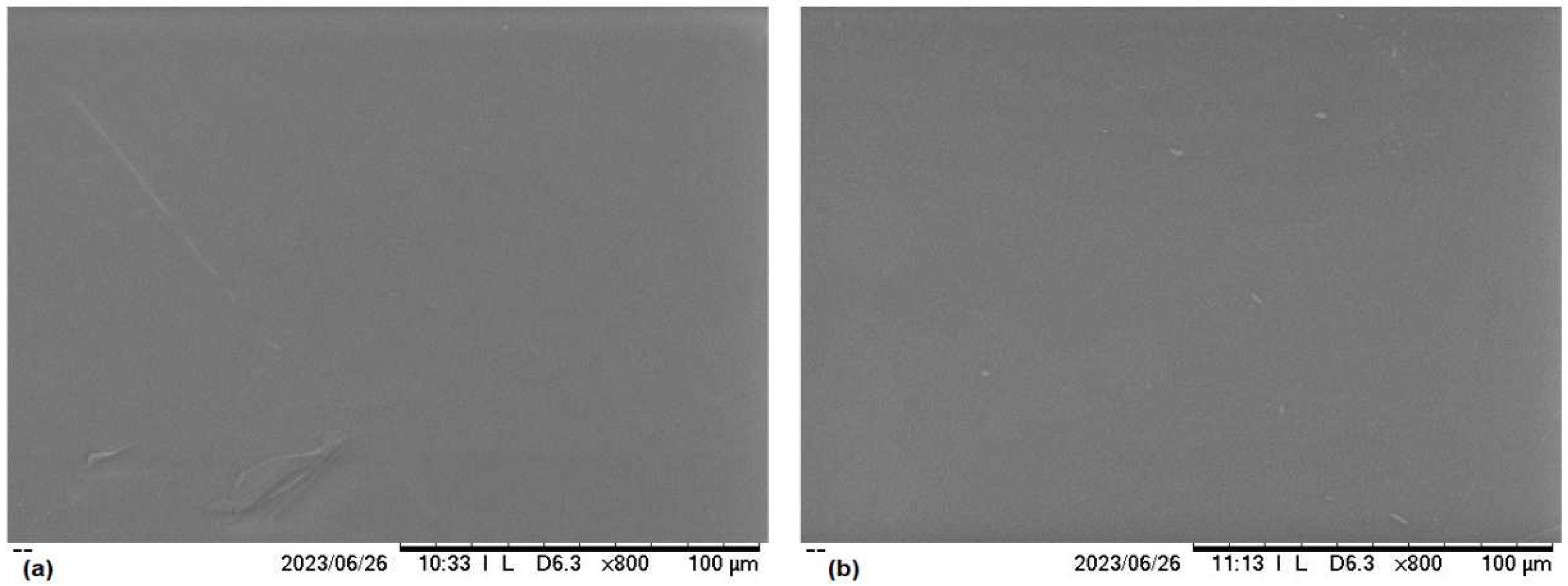 Preprints 79320 g003