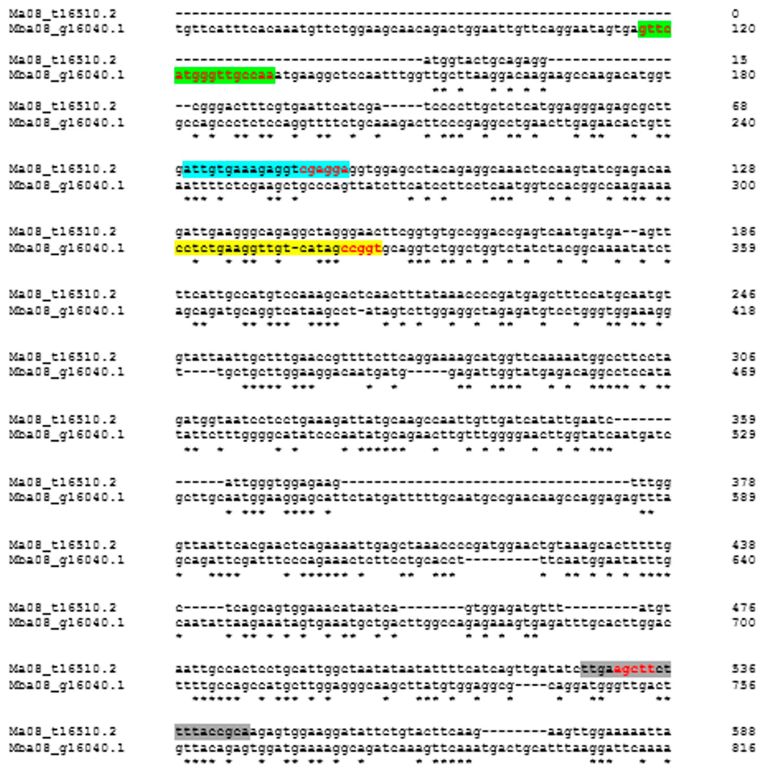 Preprints 95743 g001