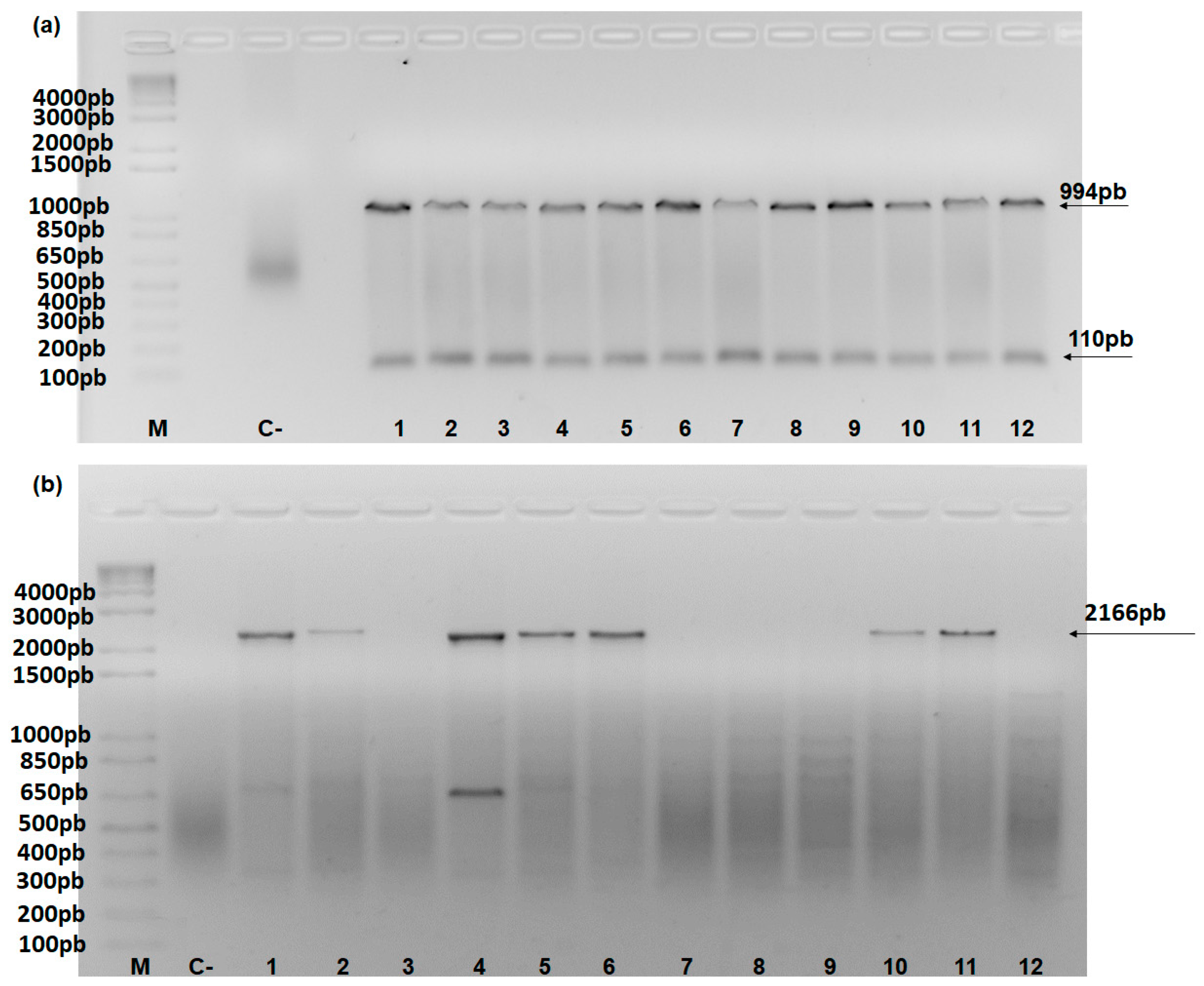 Preprints 95743 g002