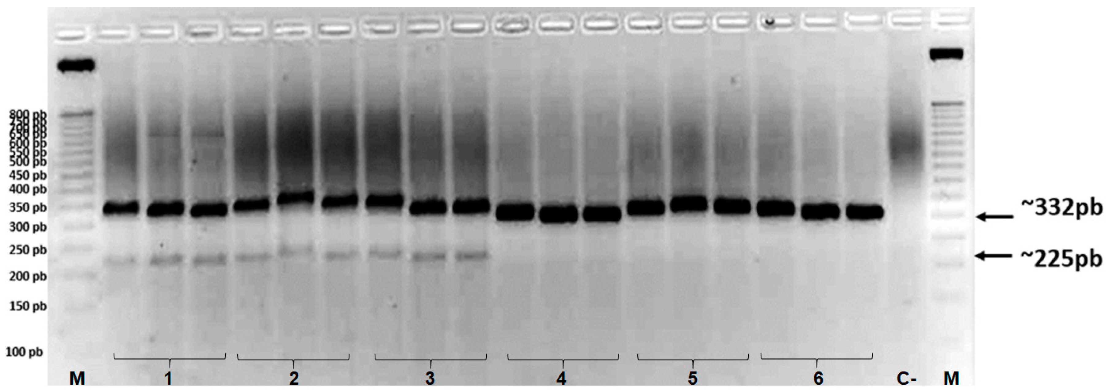 Preprints 95743 g003