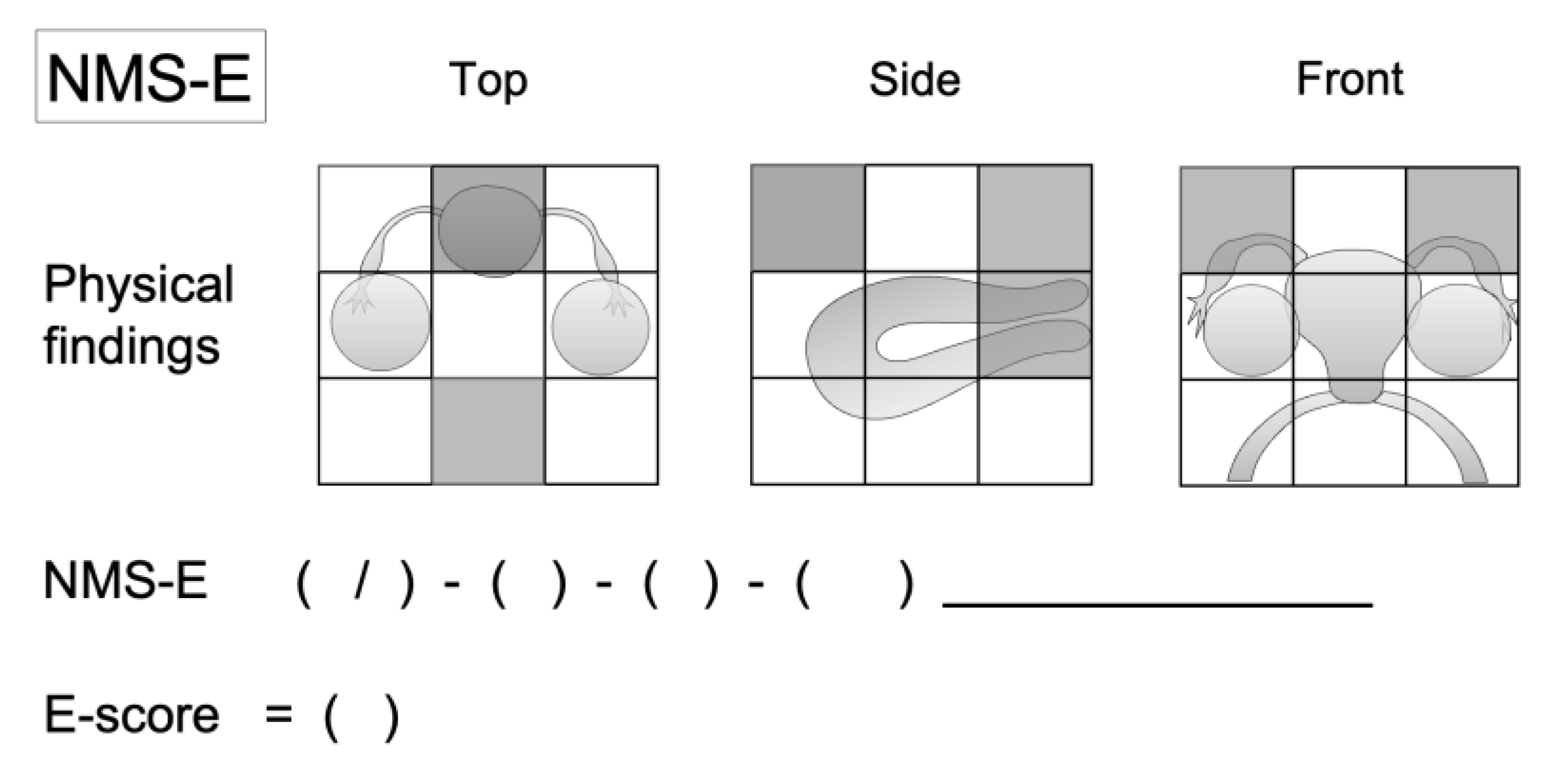 Preprints 102407 g001