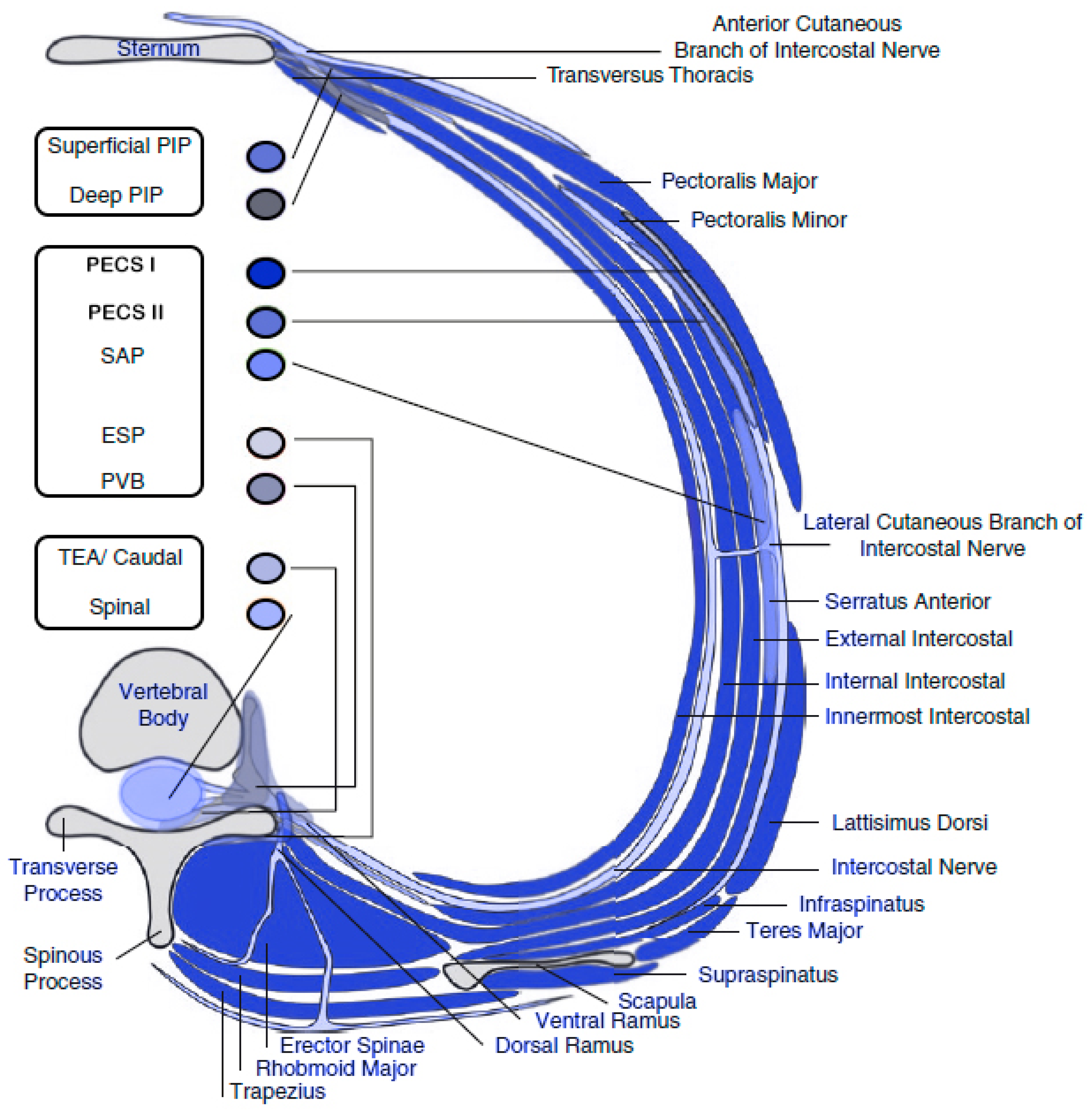 Preprints 113841 g003