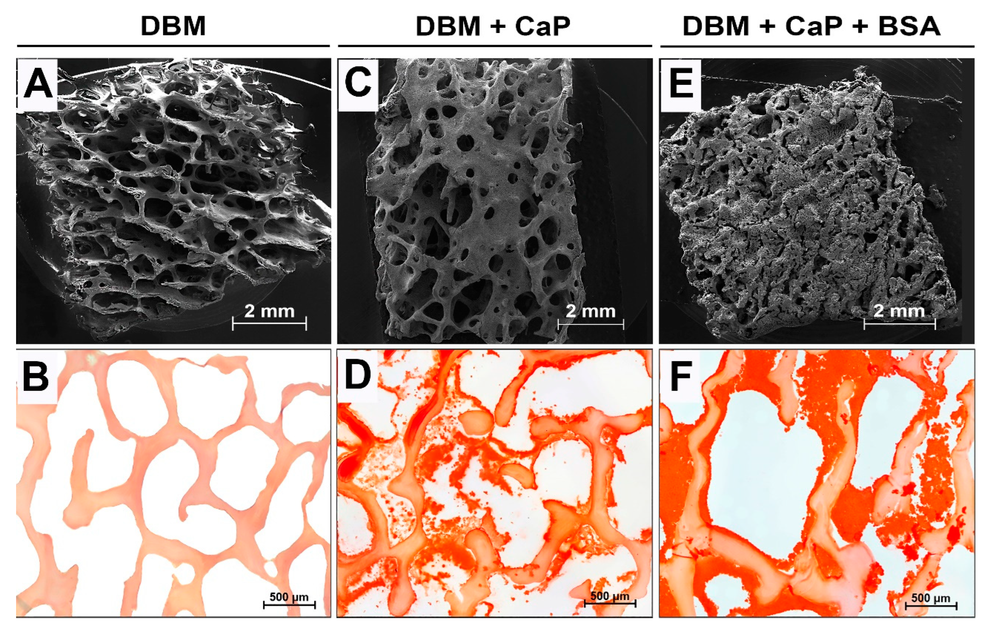 Preprints 86362 g003