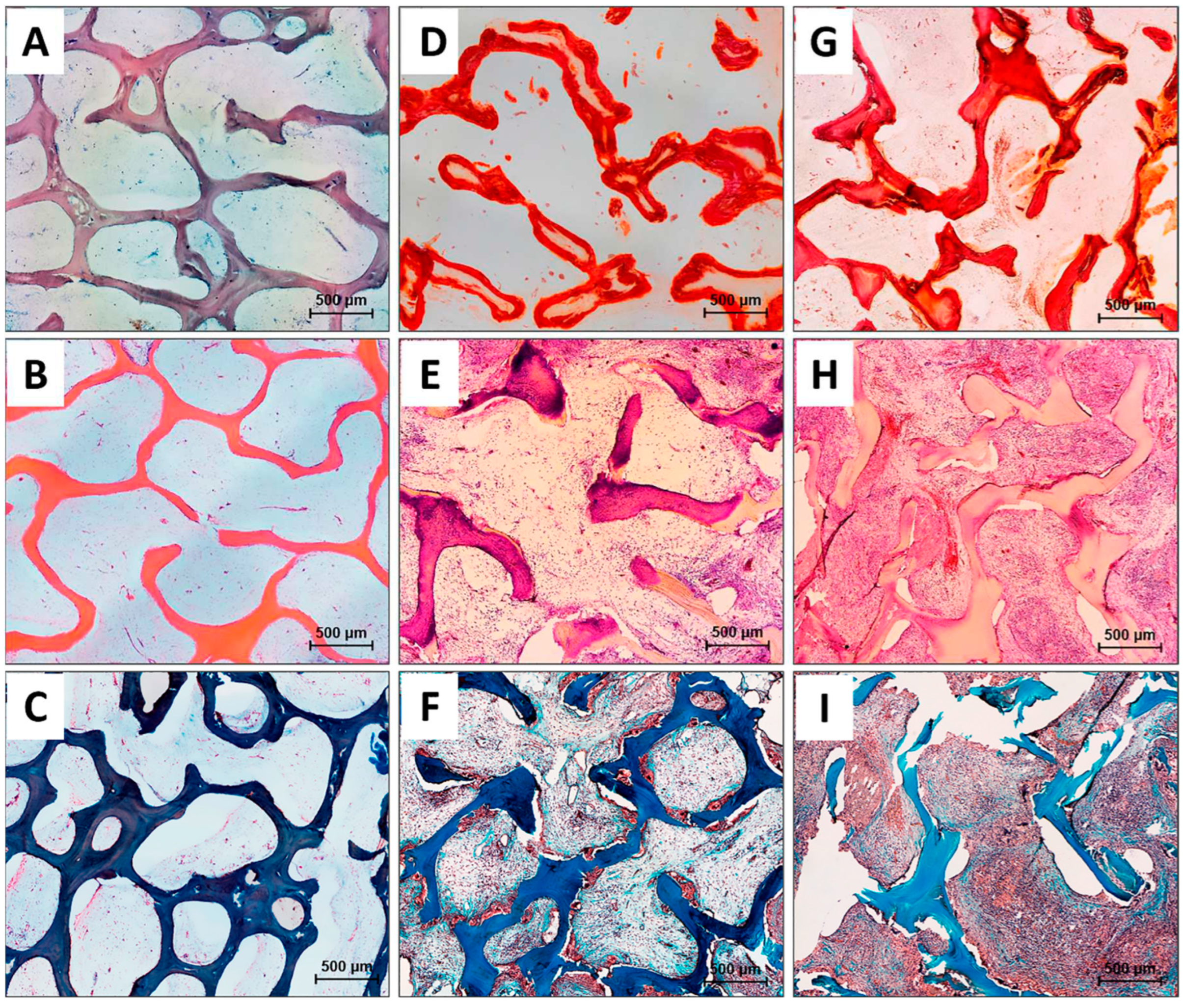 Preprints 86362 g005