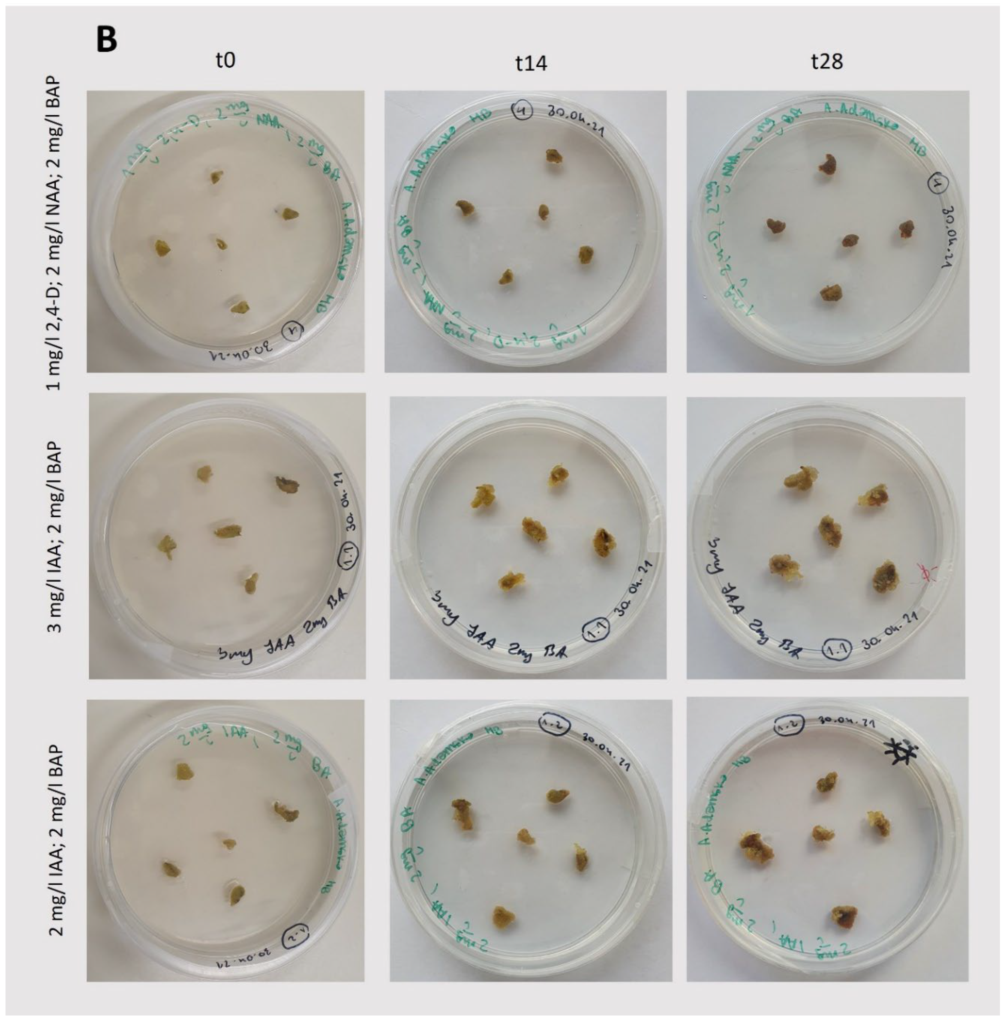 Preprints 119051 g004b