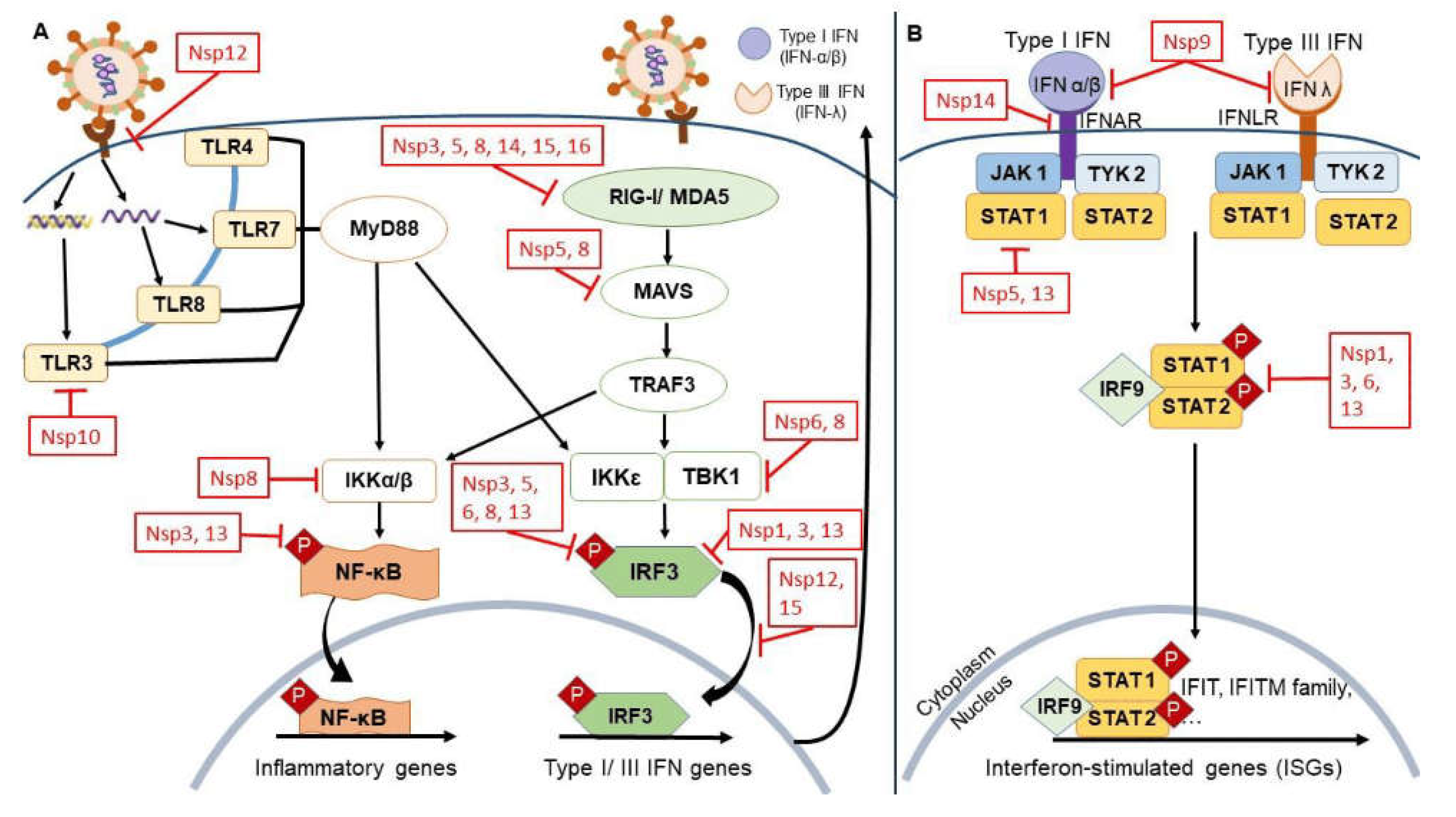 Preprints 110682 g006