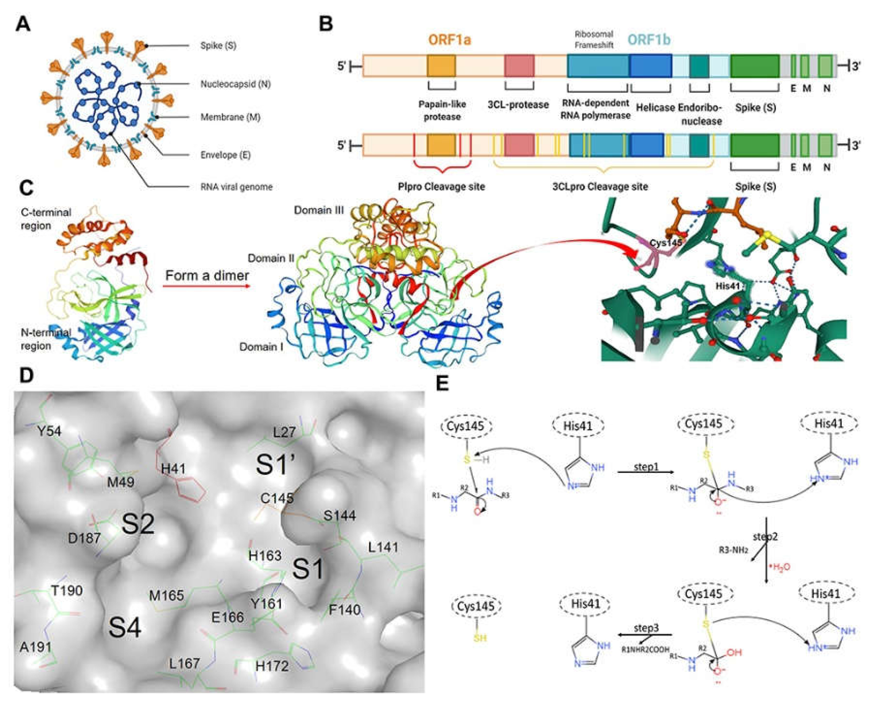 Preprints 110682 g007