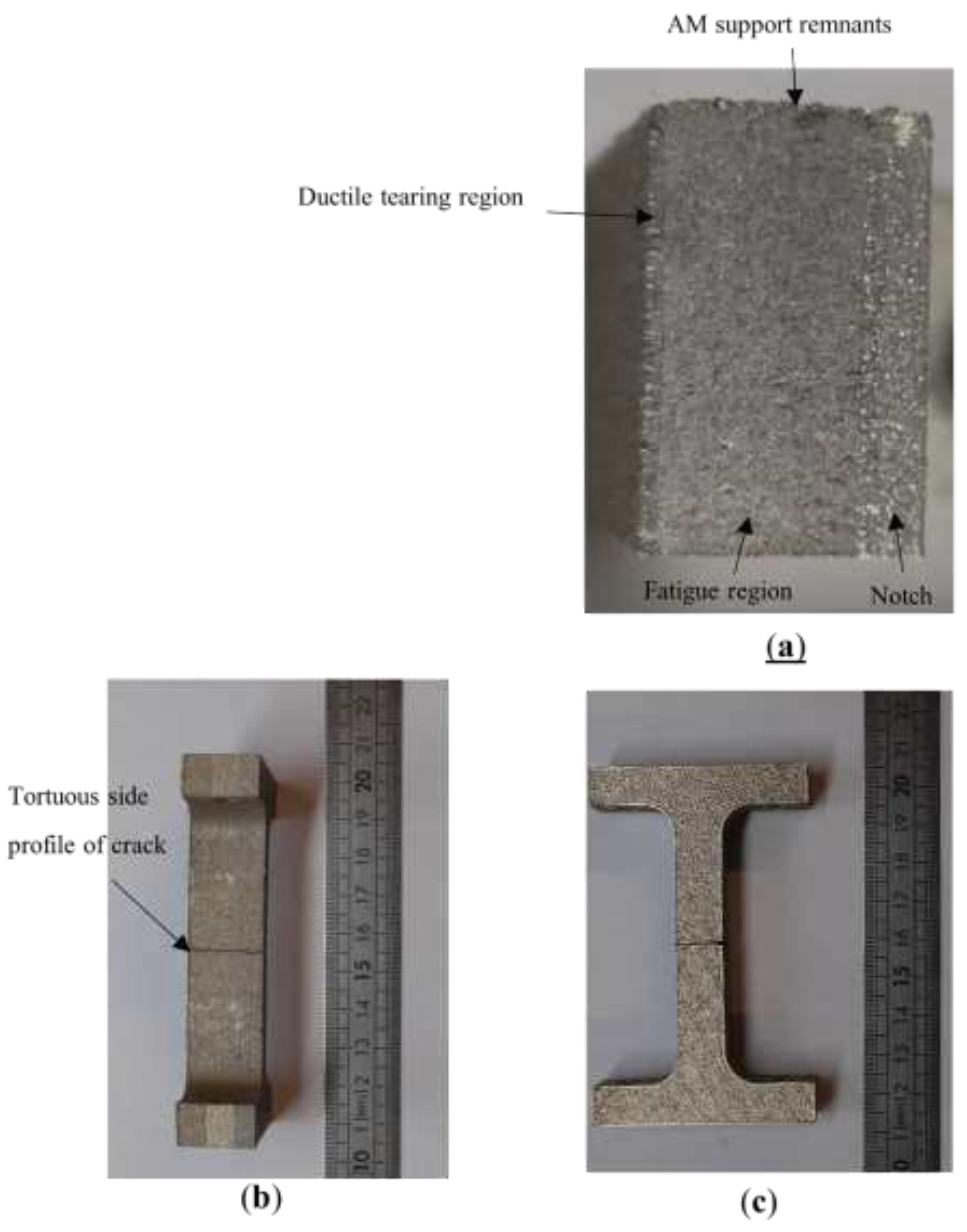 Preprints 86844 g007