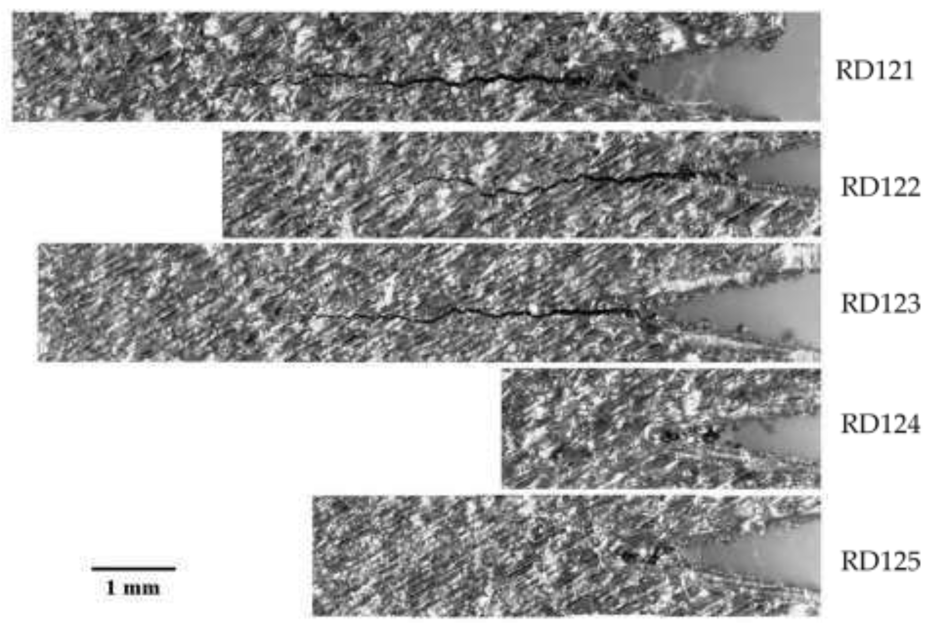 Preprints 86844 g013