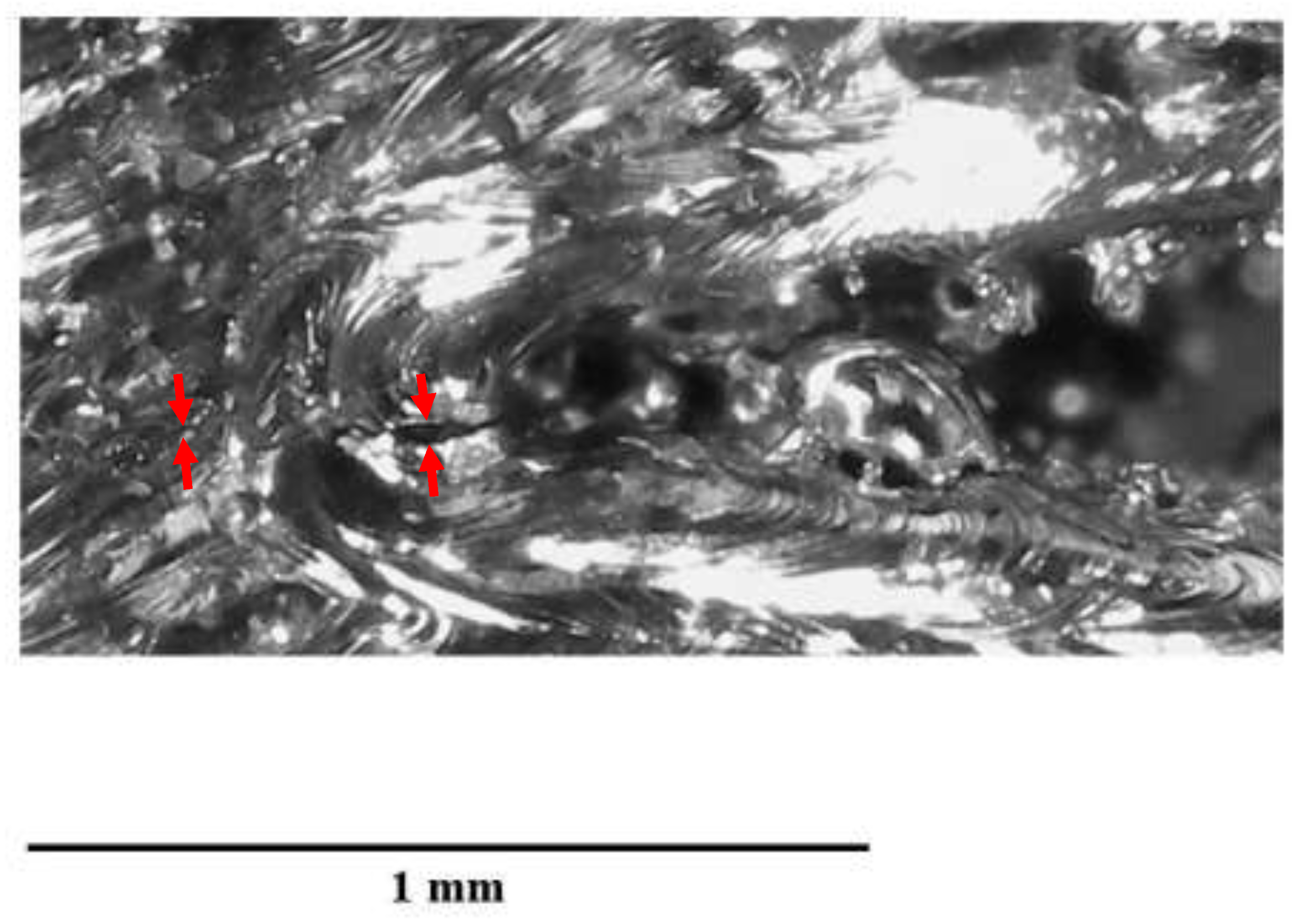 Preprints 86844 g014