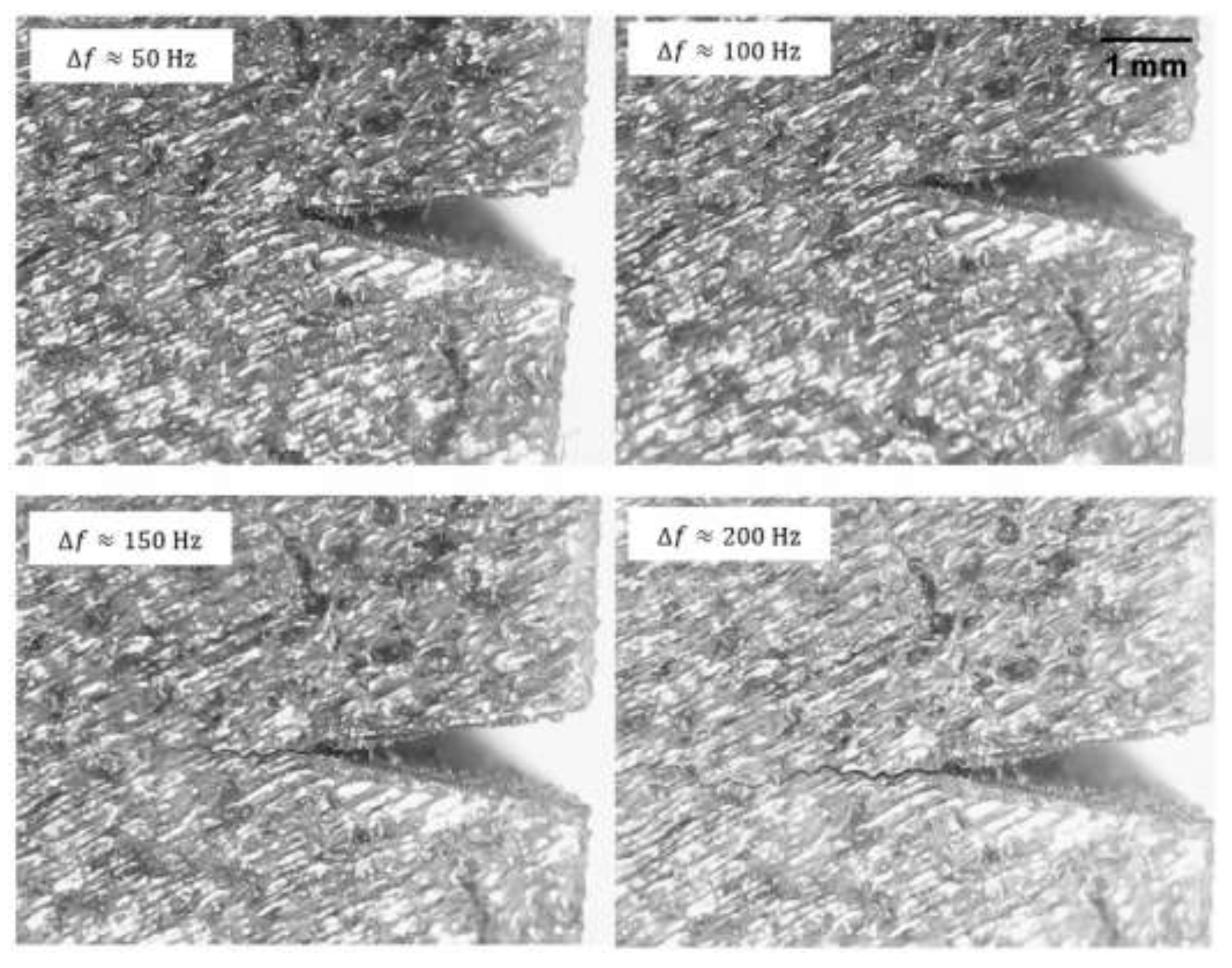 Preprints 86844 g015