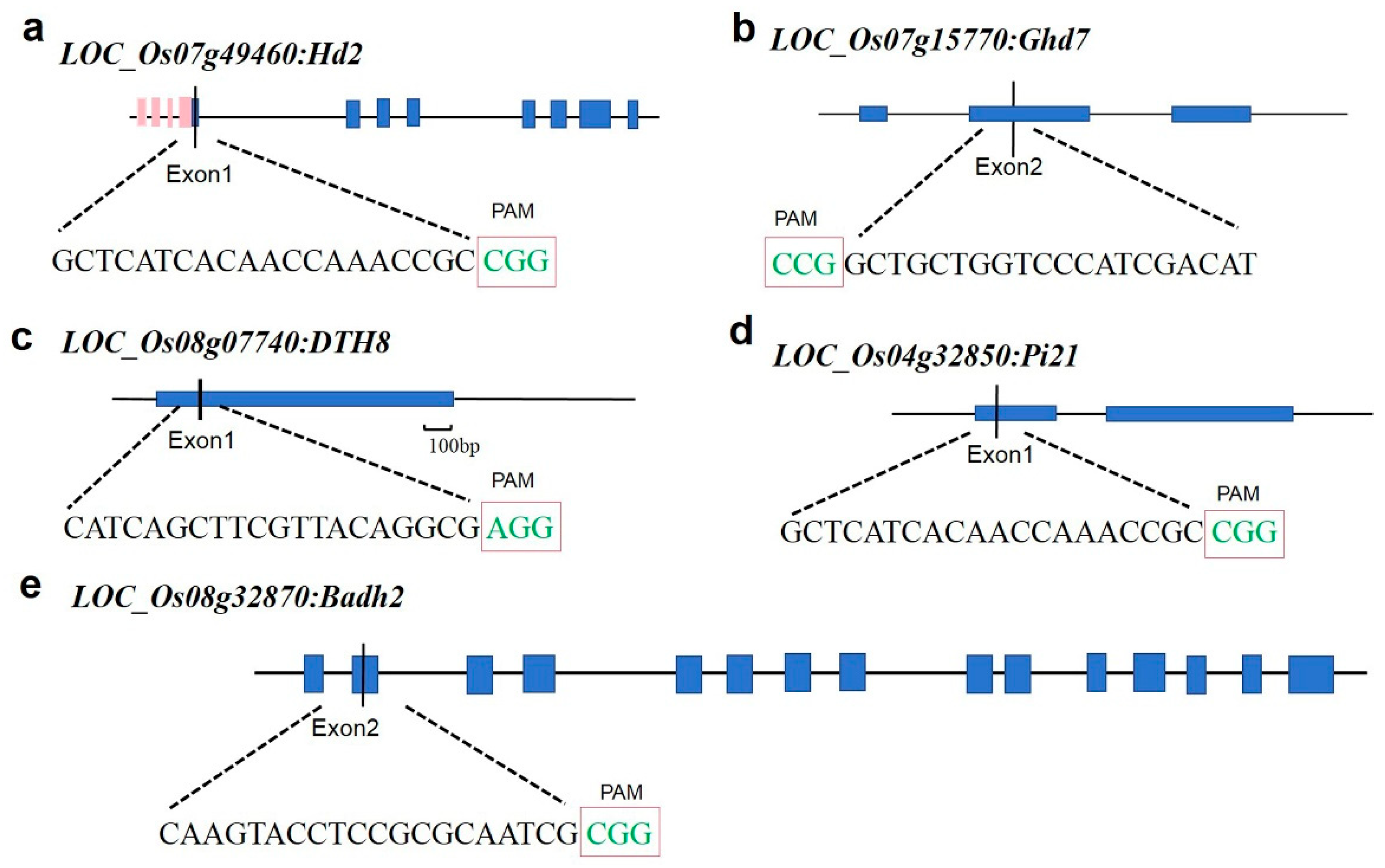 Preprints 106156 g001