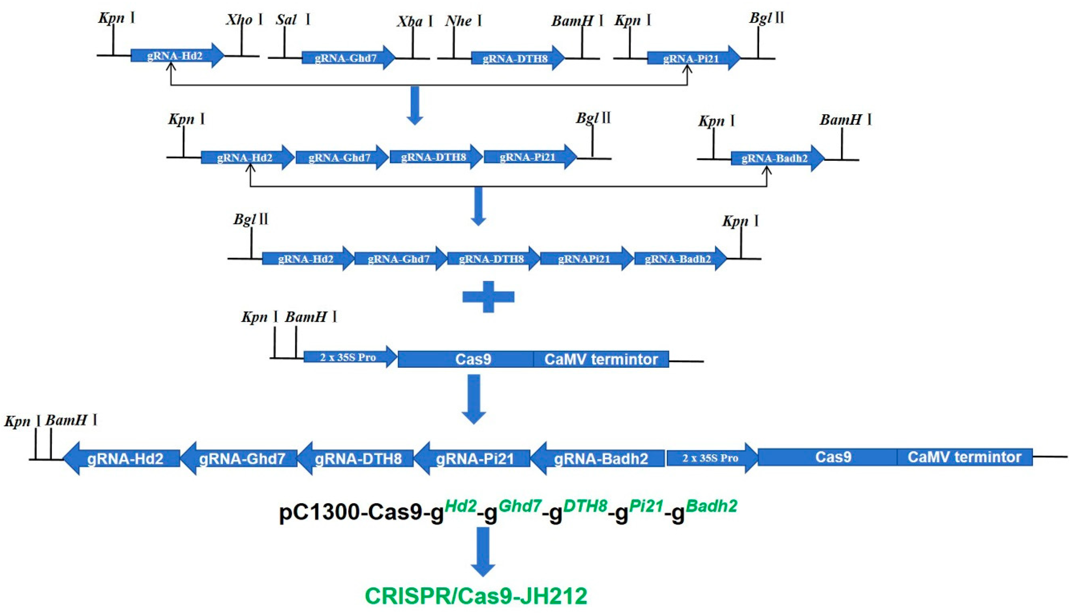 Preprints 106156 g002