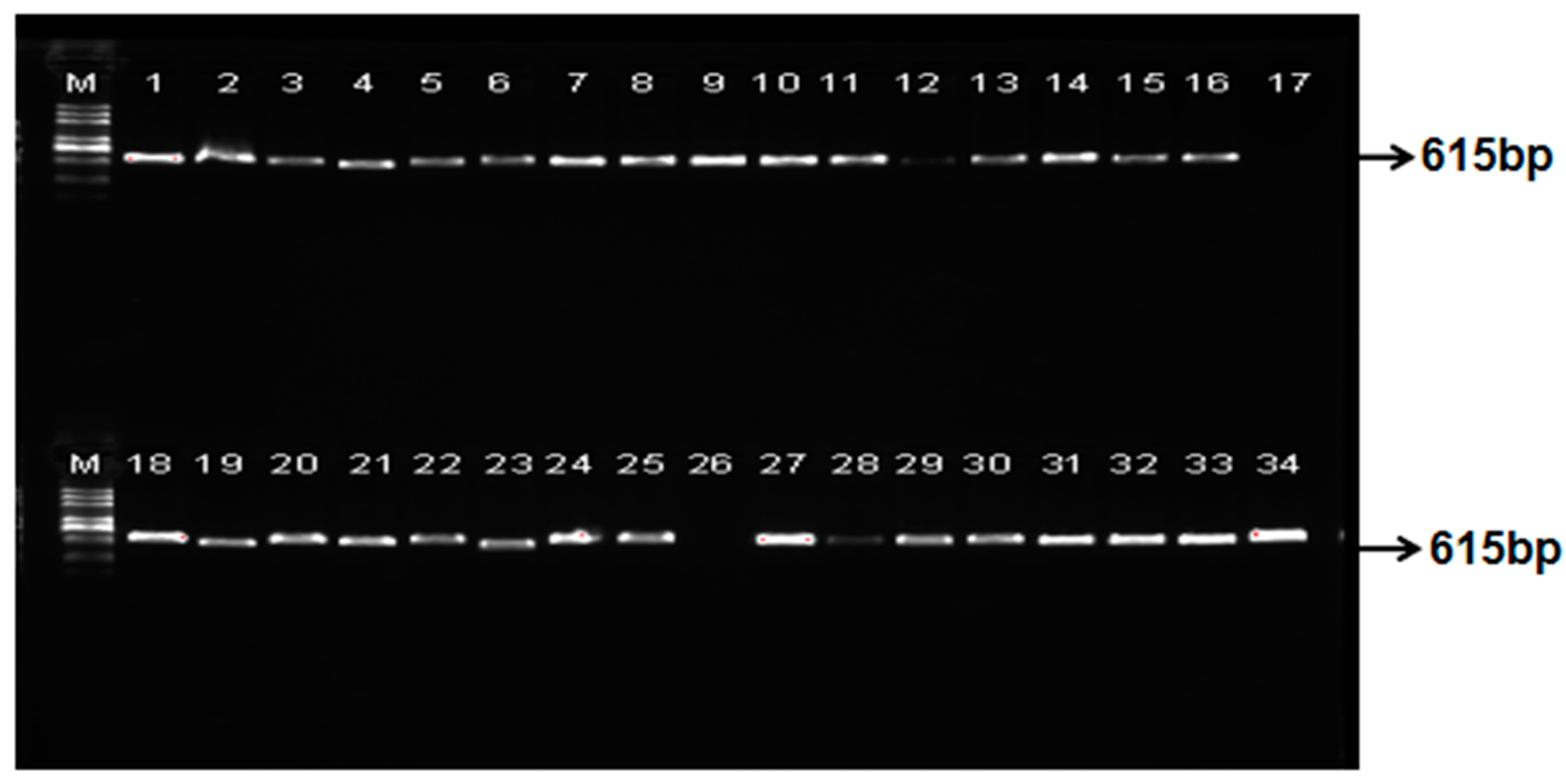 Preprints 106156 g003