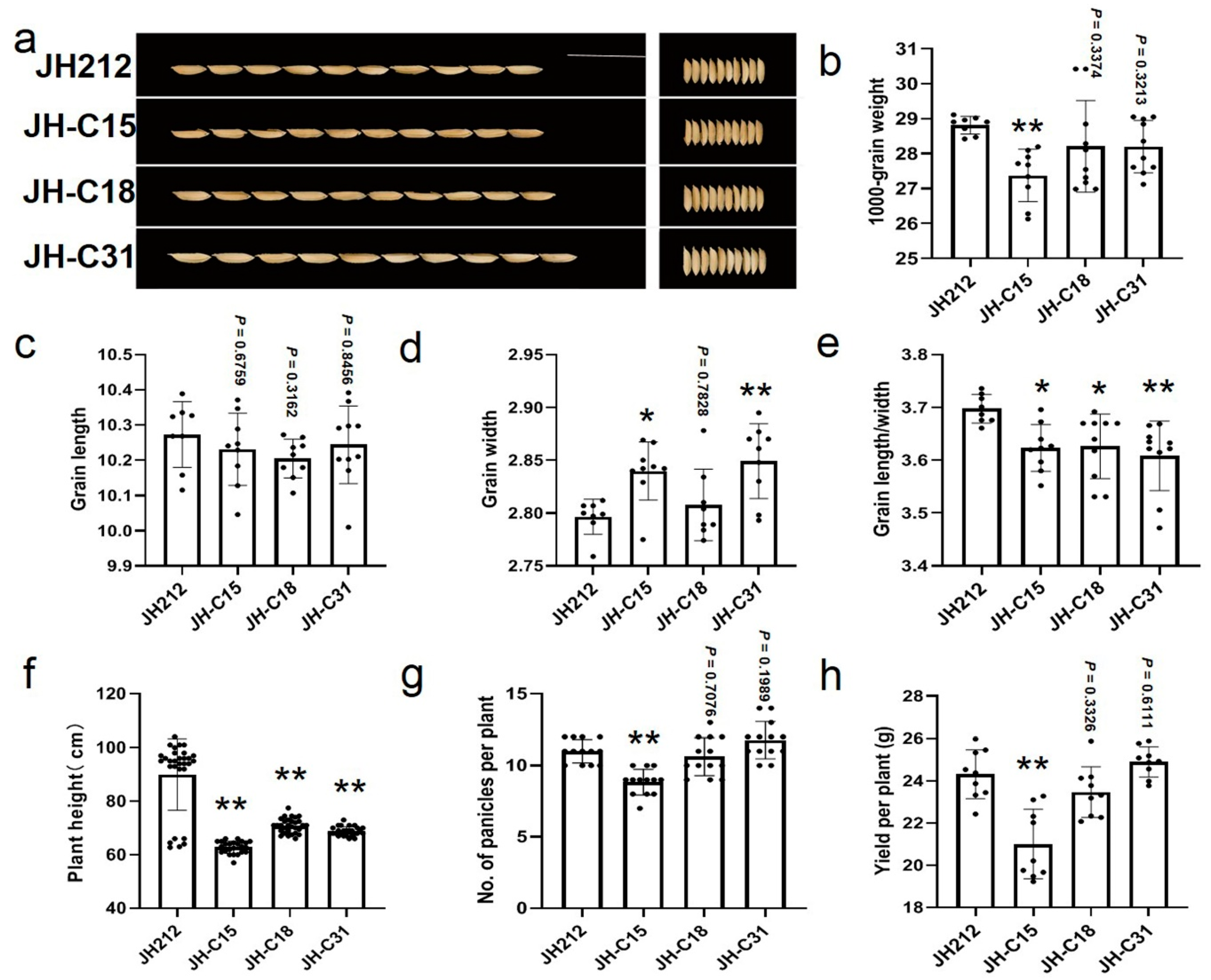 Preprints 106156 g007