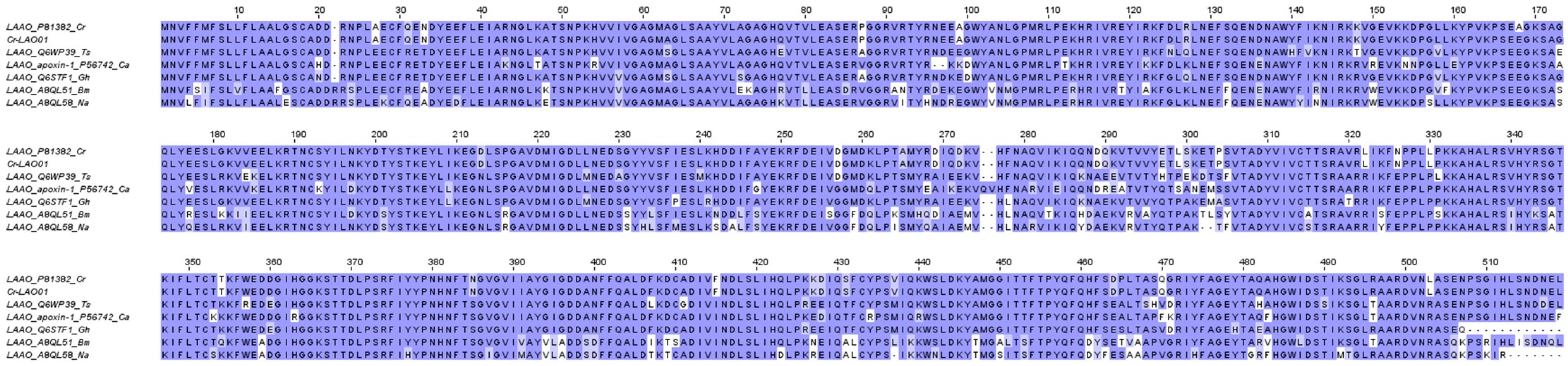 Preprints 70383 g009