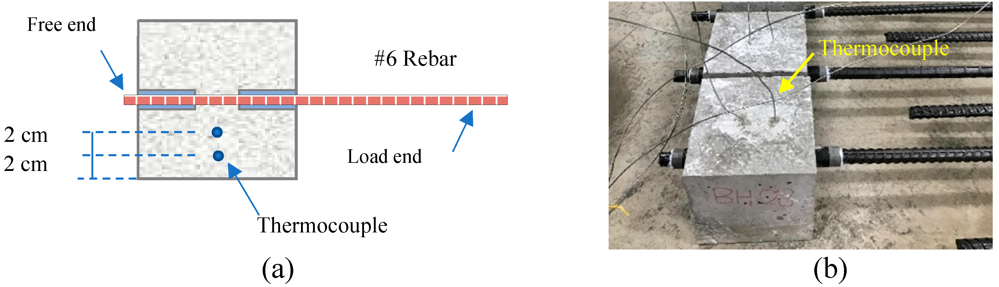 Preprints 96590 g004