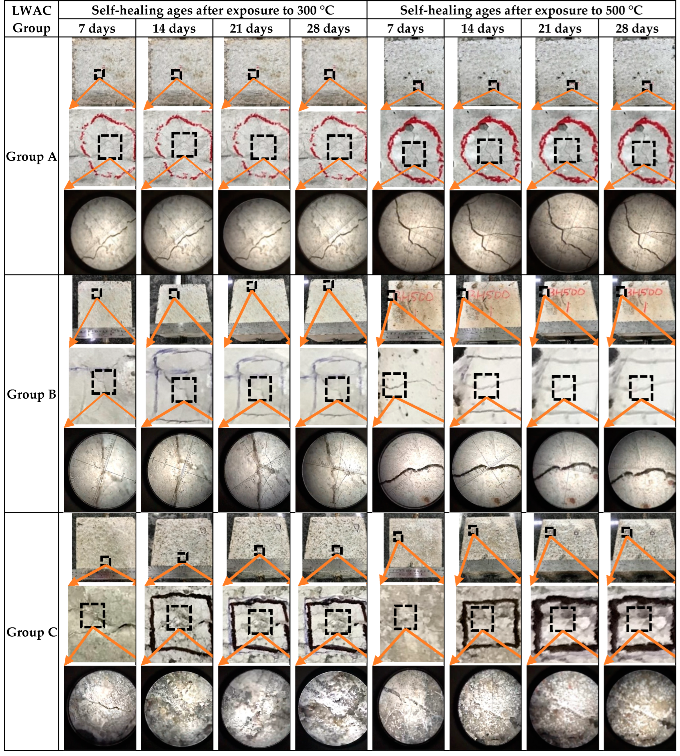 Preprints 96590 g017