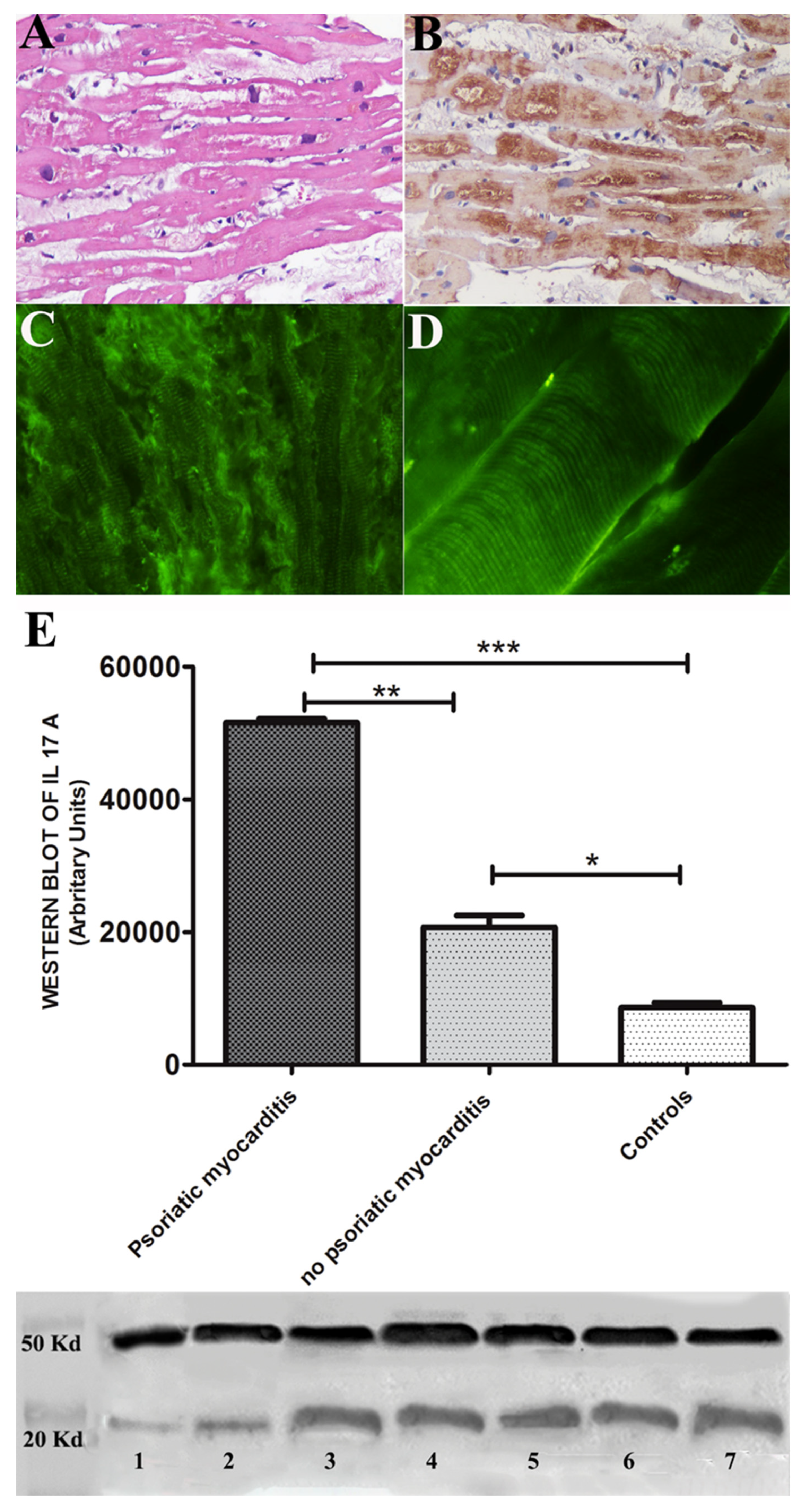 Preprints 74310 g003