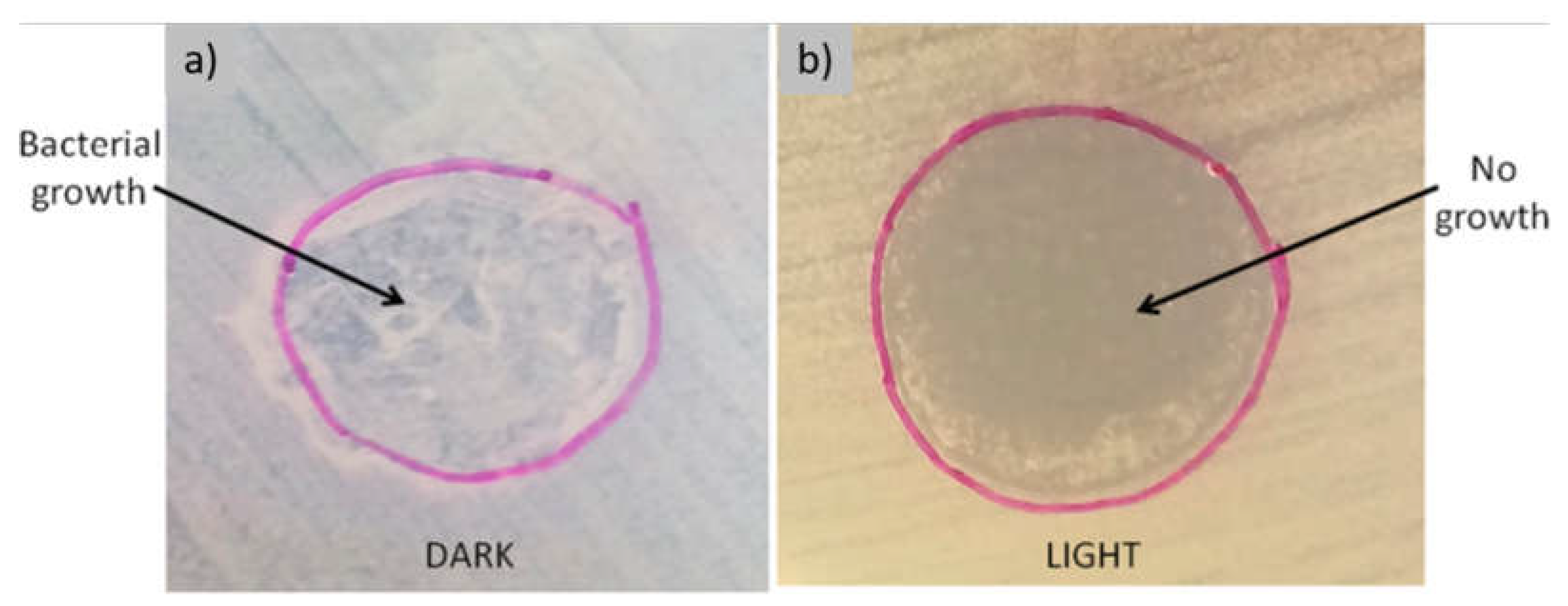 Preprints 141189 g004