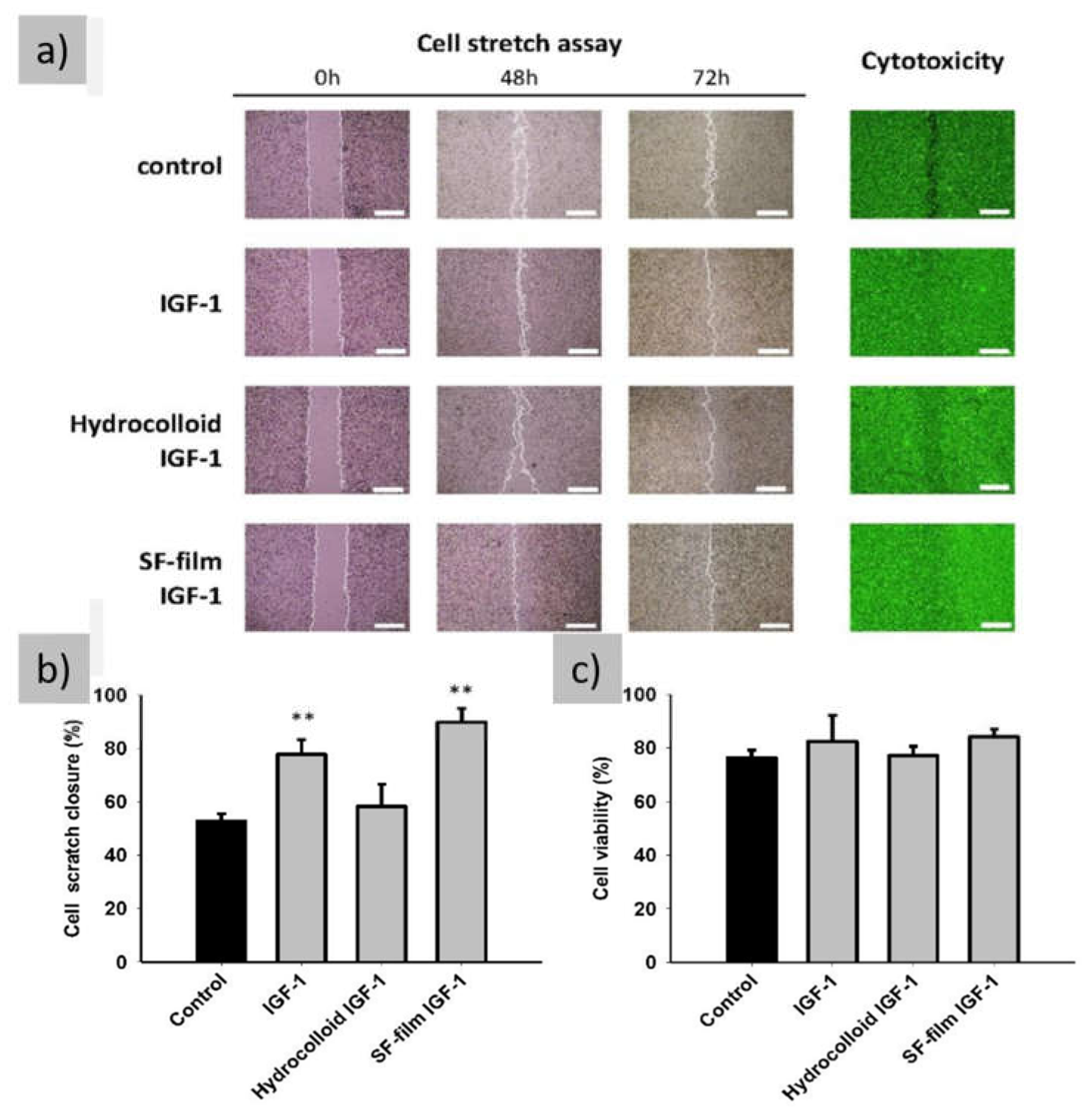 Preprints 141189 g006