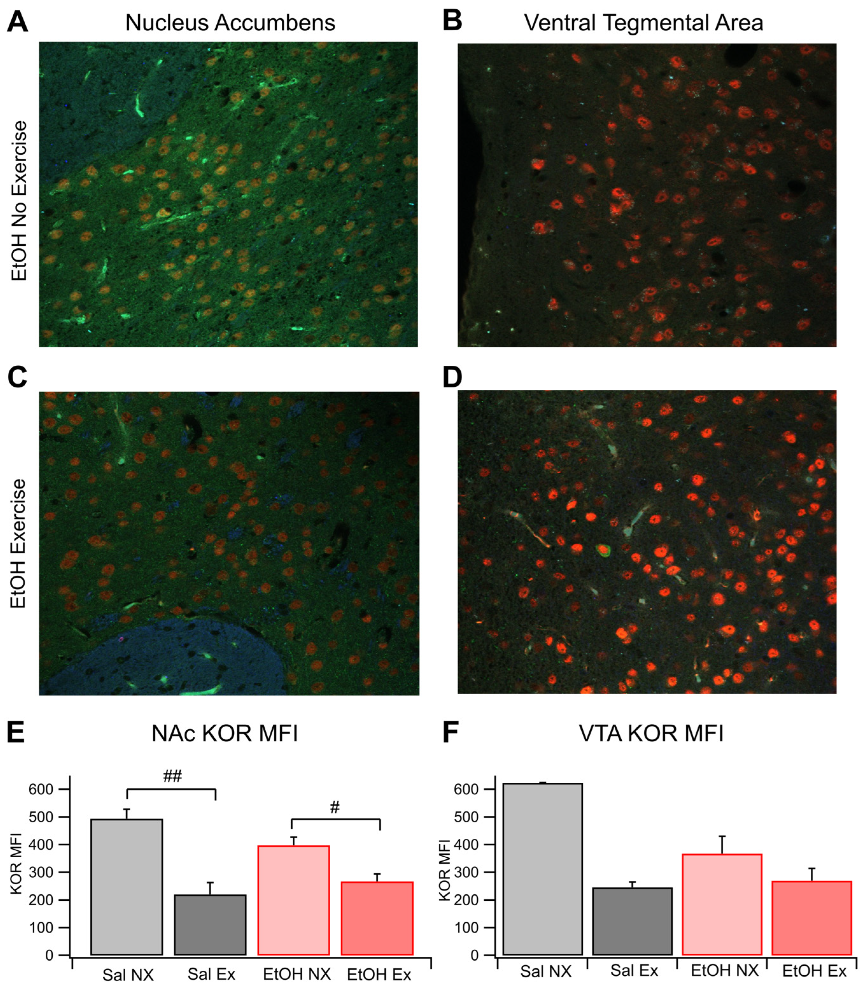 Preprints 110013 g002