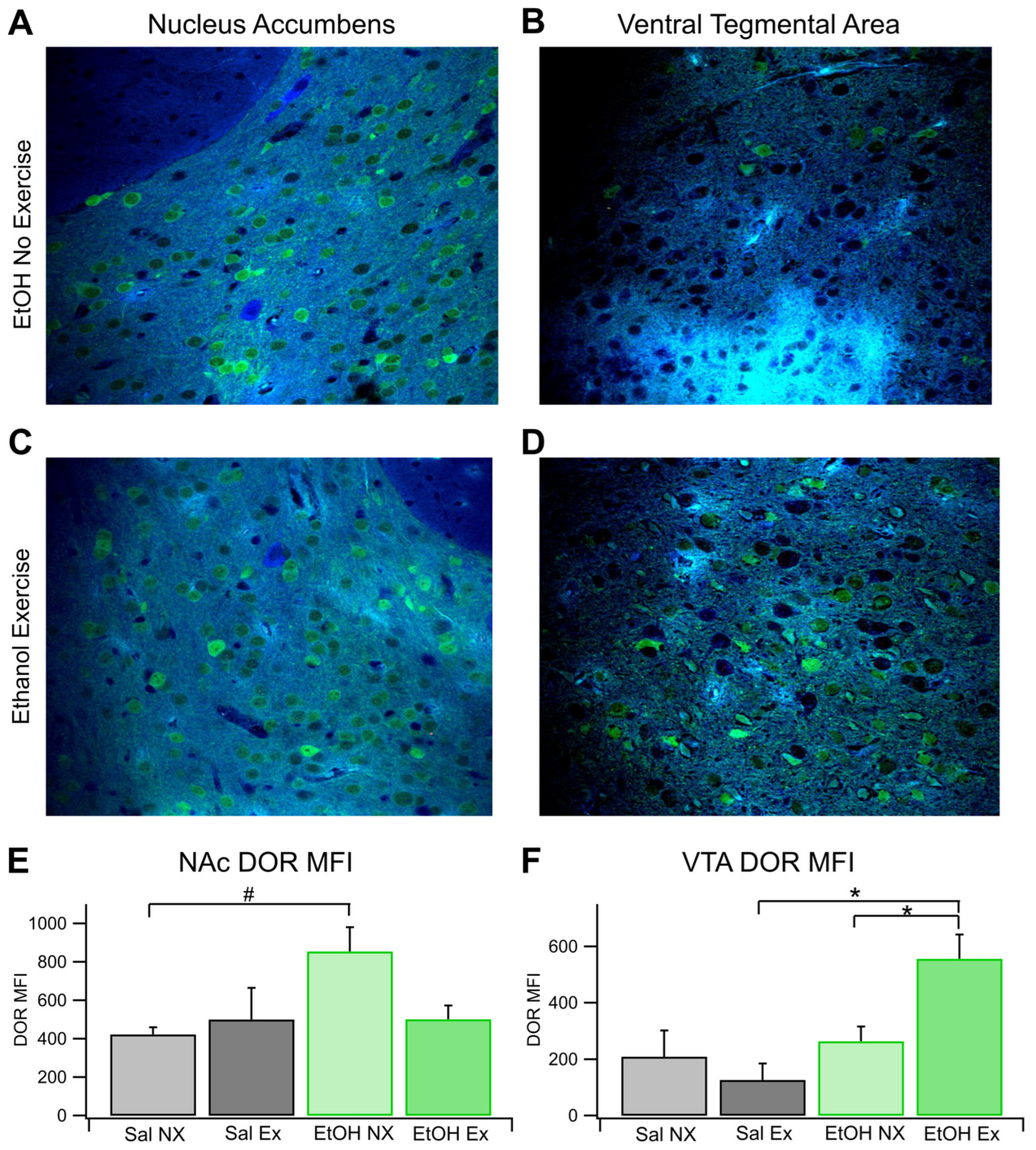 Preprints 110013 g004