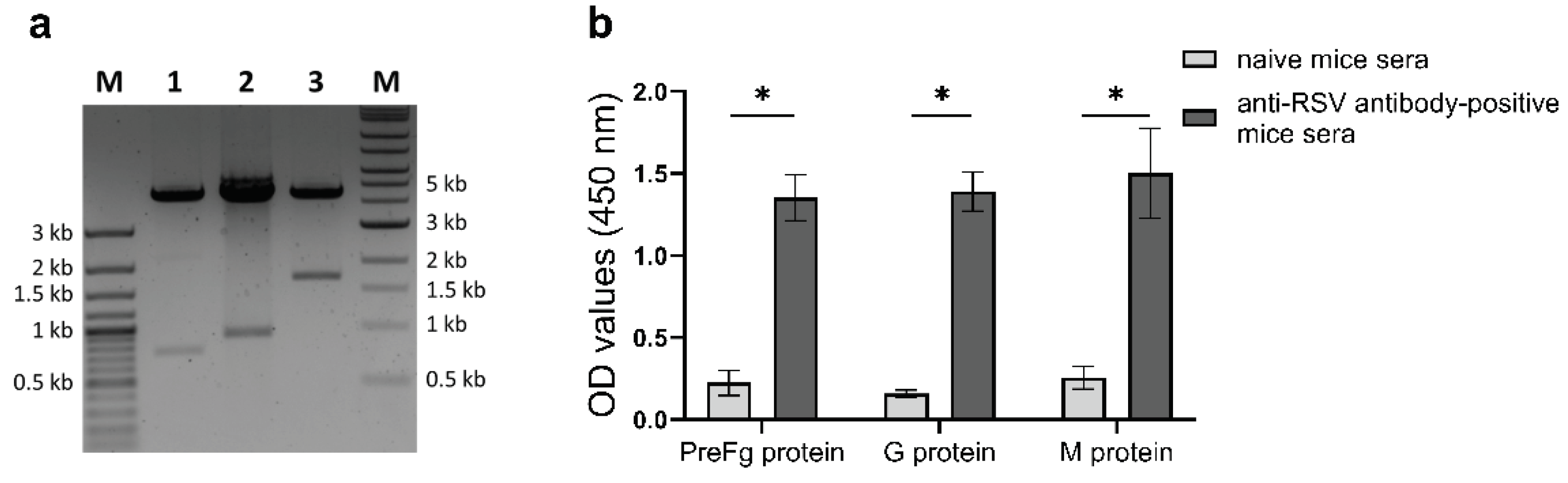 Preprints 103254 g001