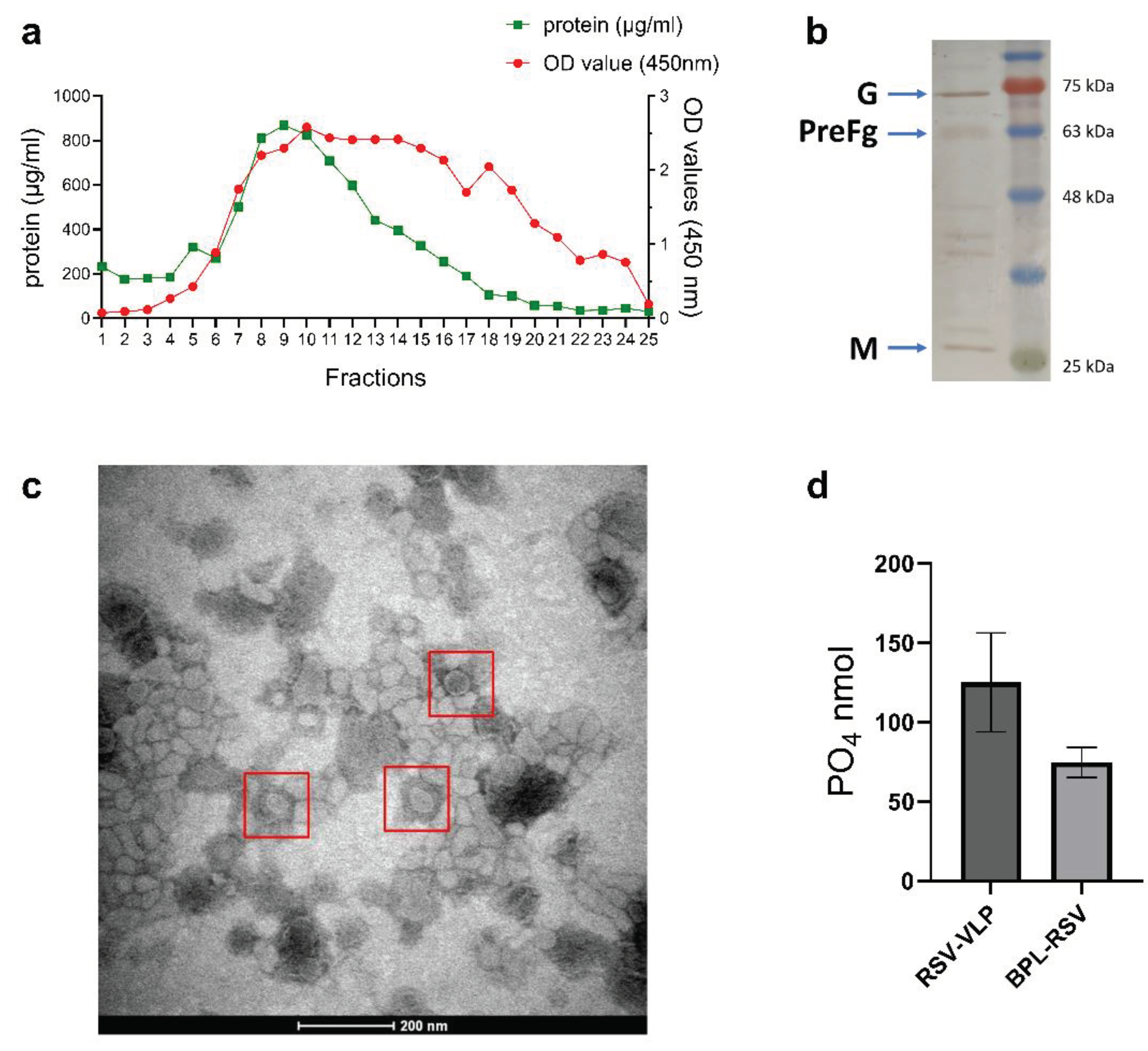 Preprints 103254 g002