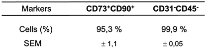 Preprints 122182 i001