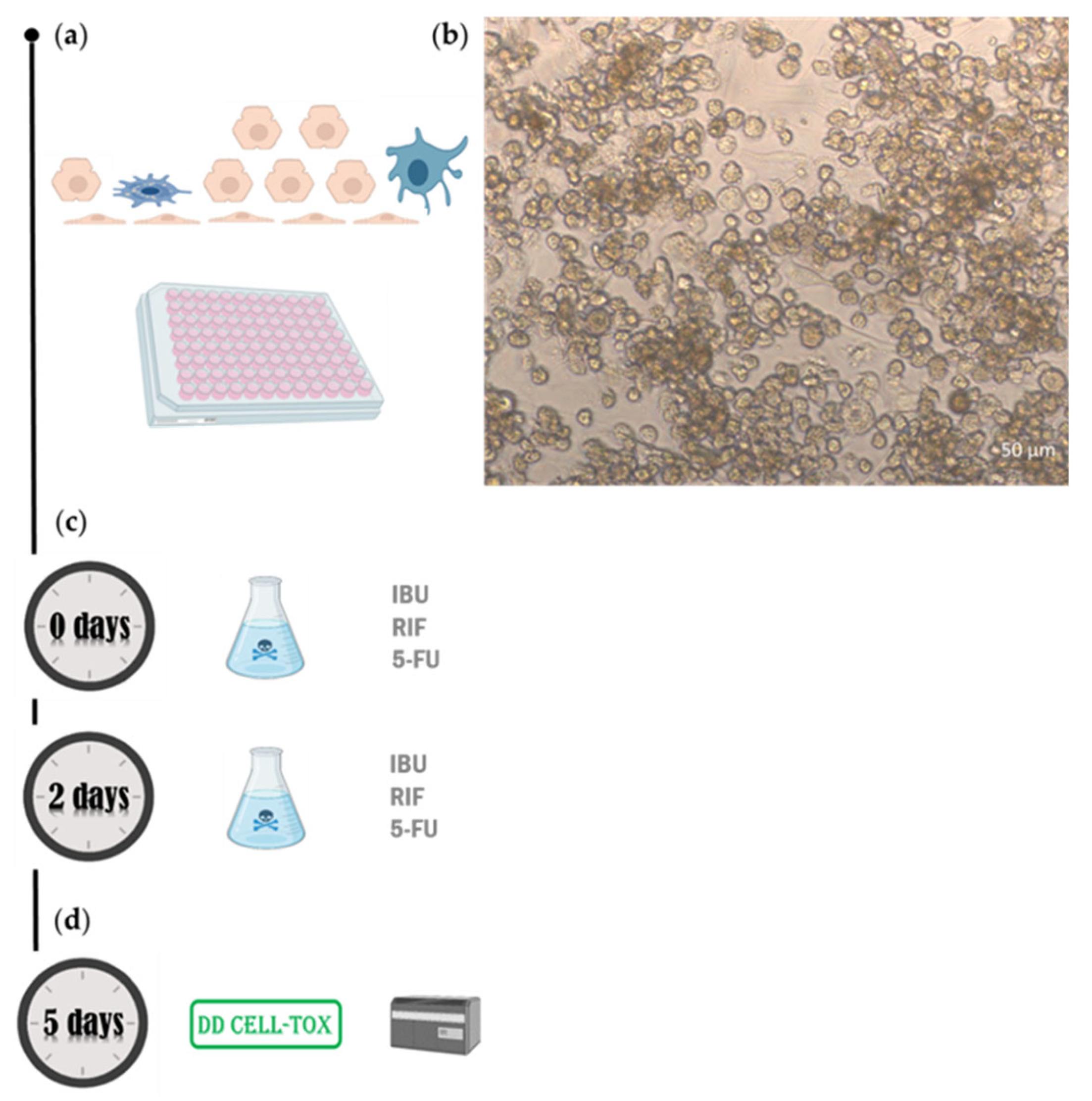 Preprints 104298 g005