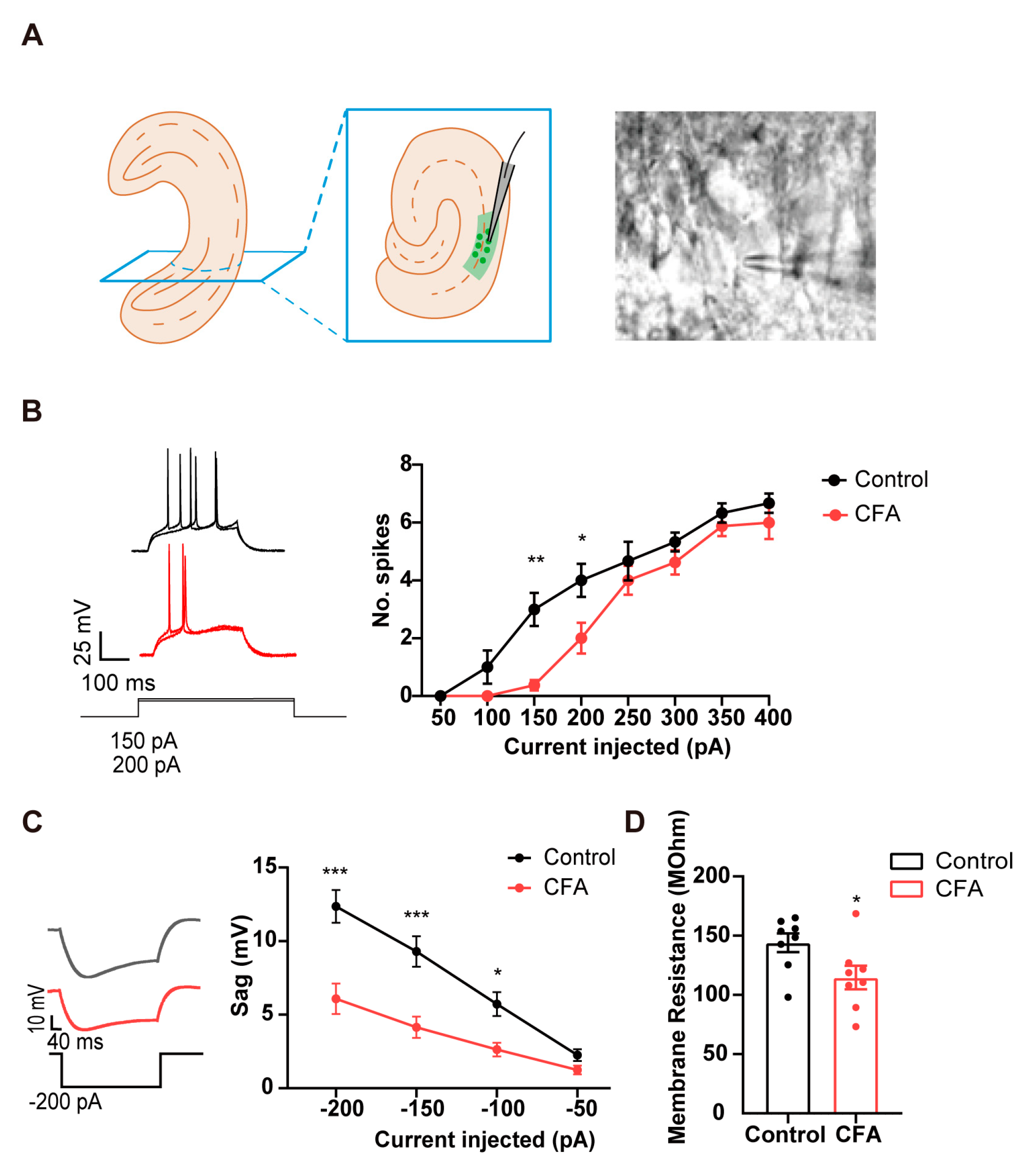 Preprints 79440 g001