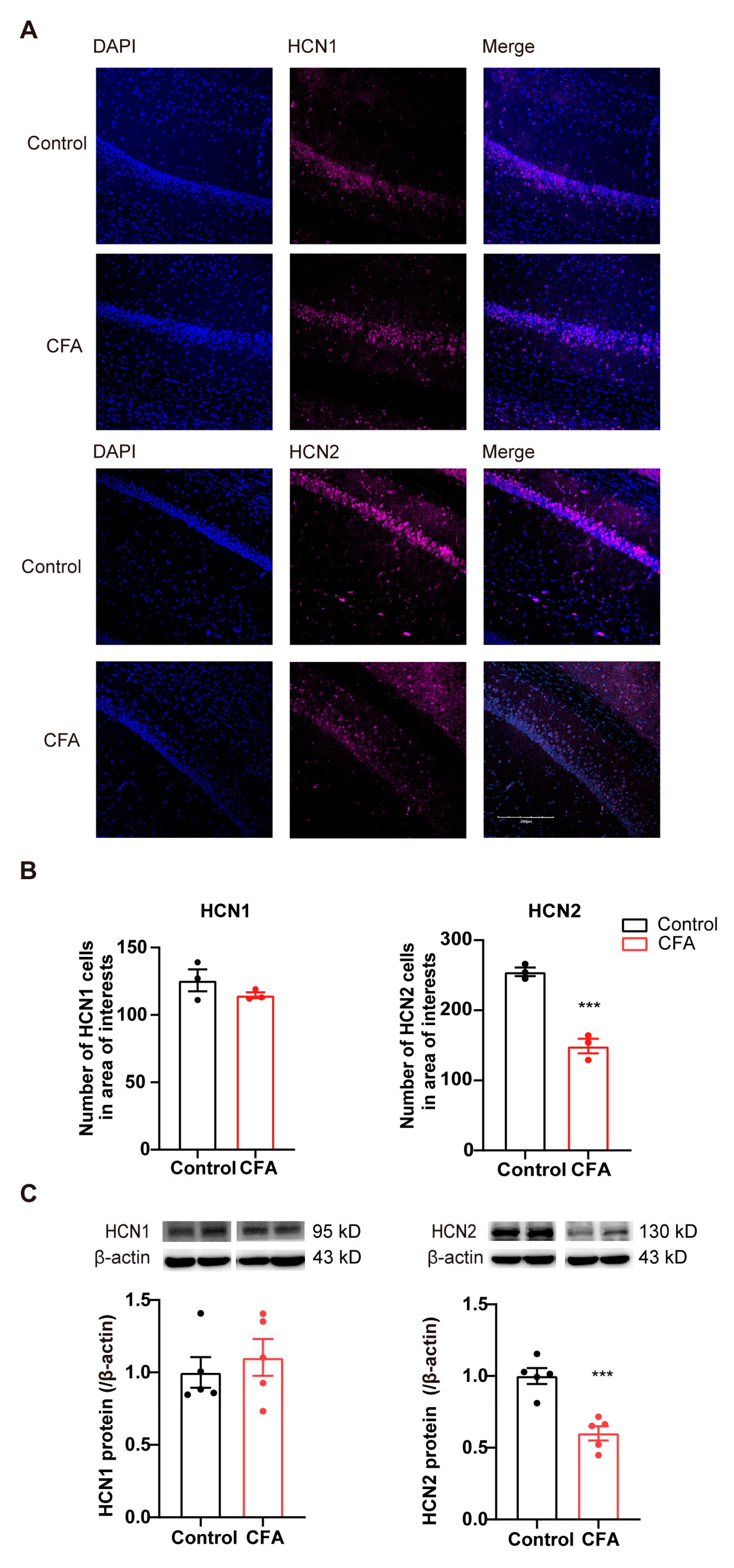 Preprints 79440 g002